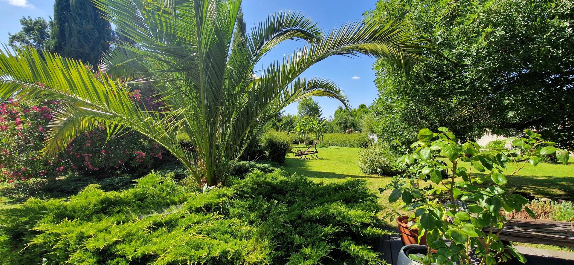 Photo 20 de l'annonce.