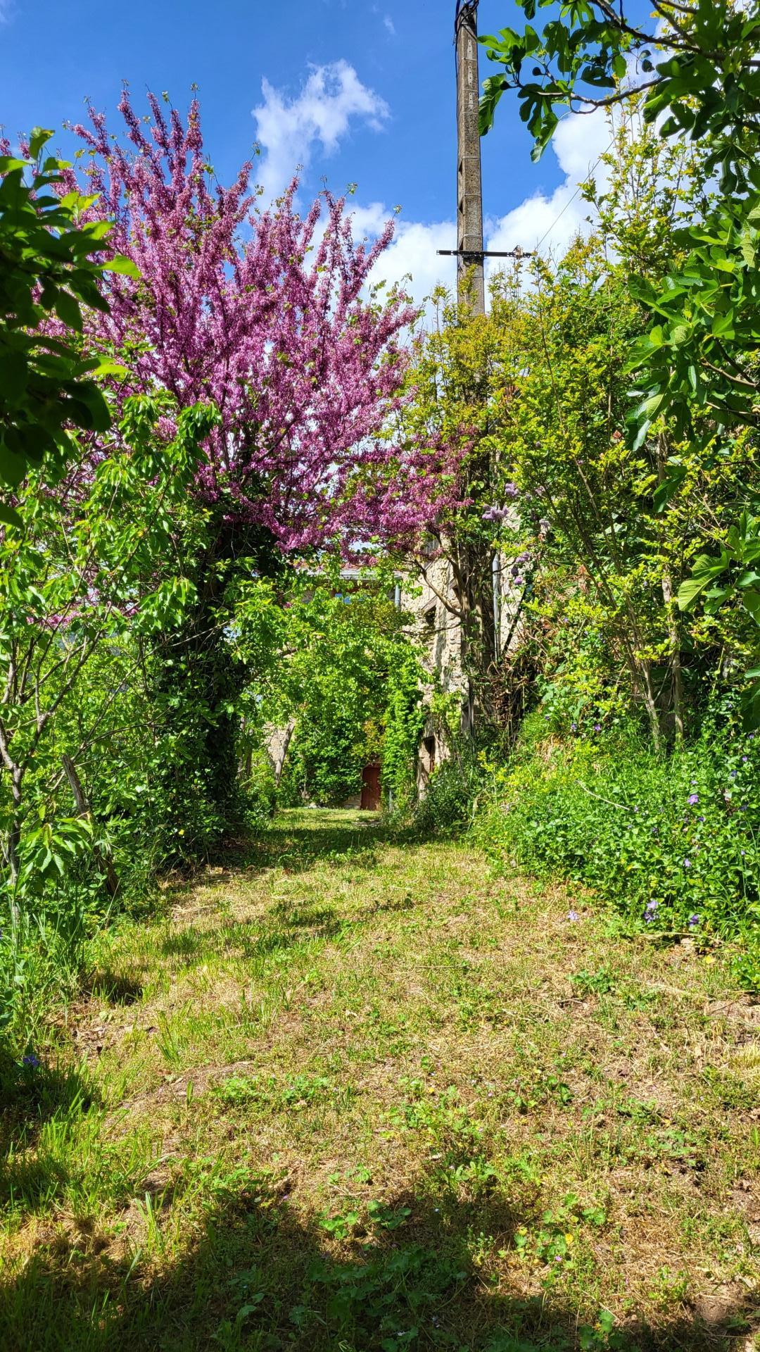 Photo 23 de l'annonce.