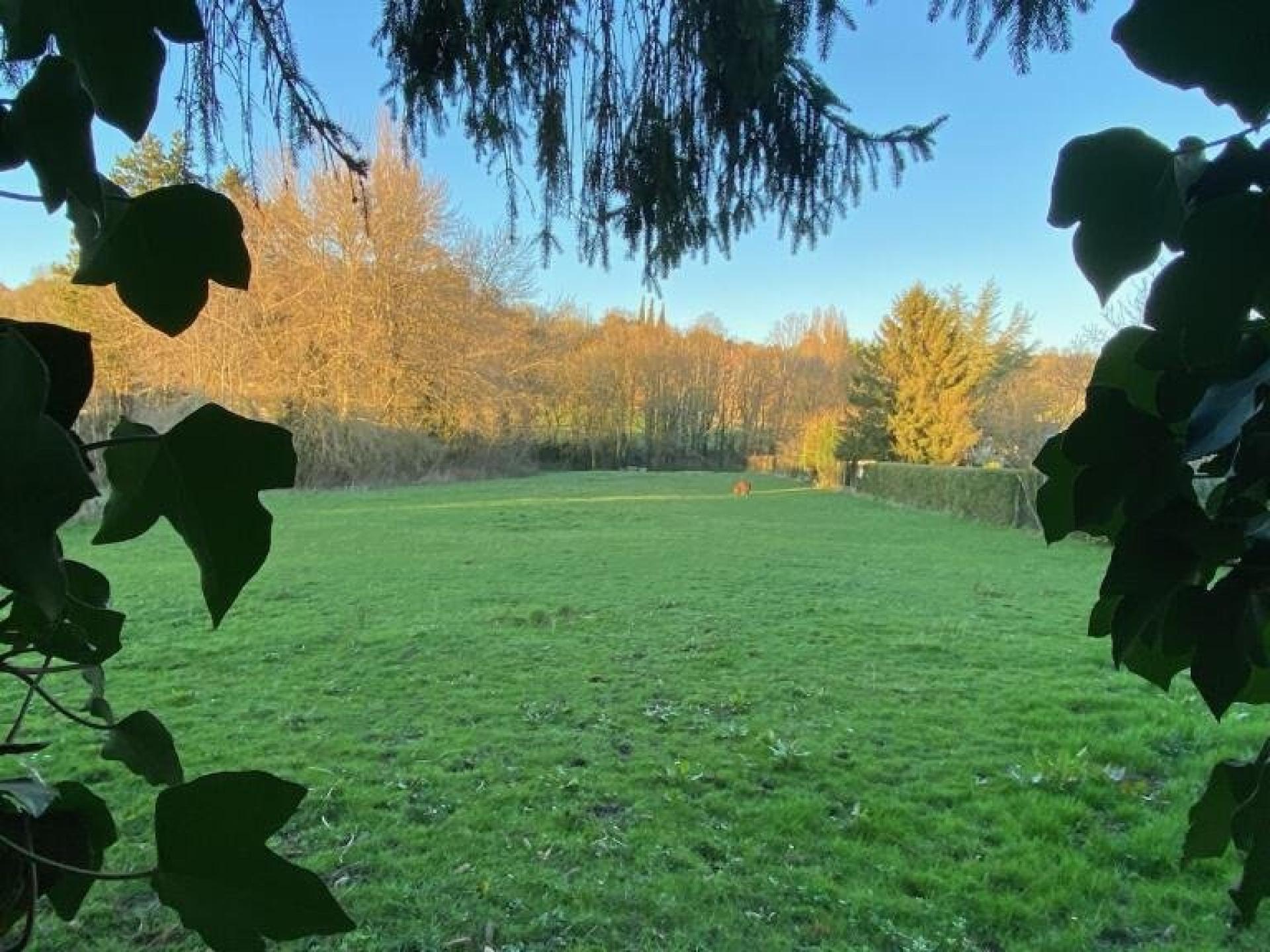 Photo 6 de l'annonce.