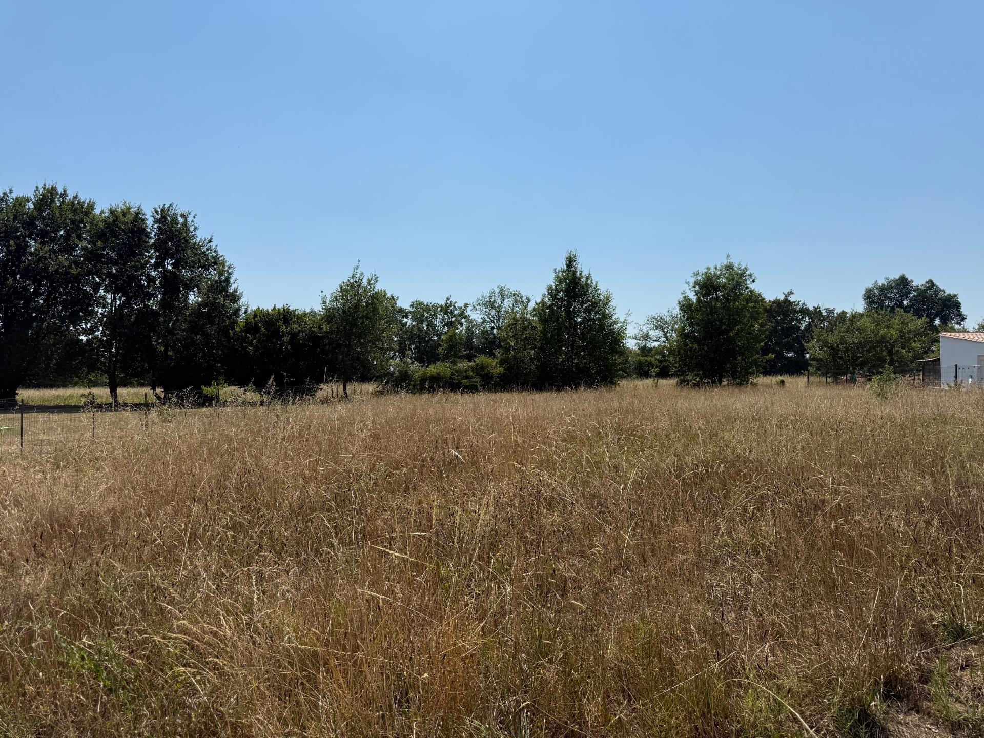 Photo-terrain