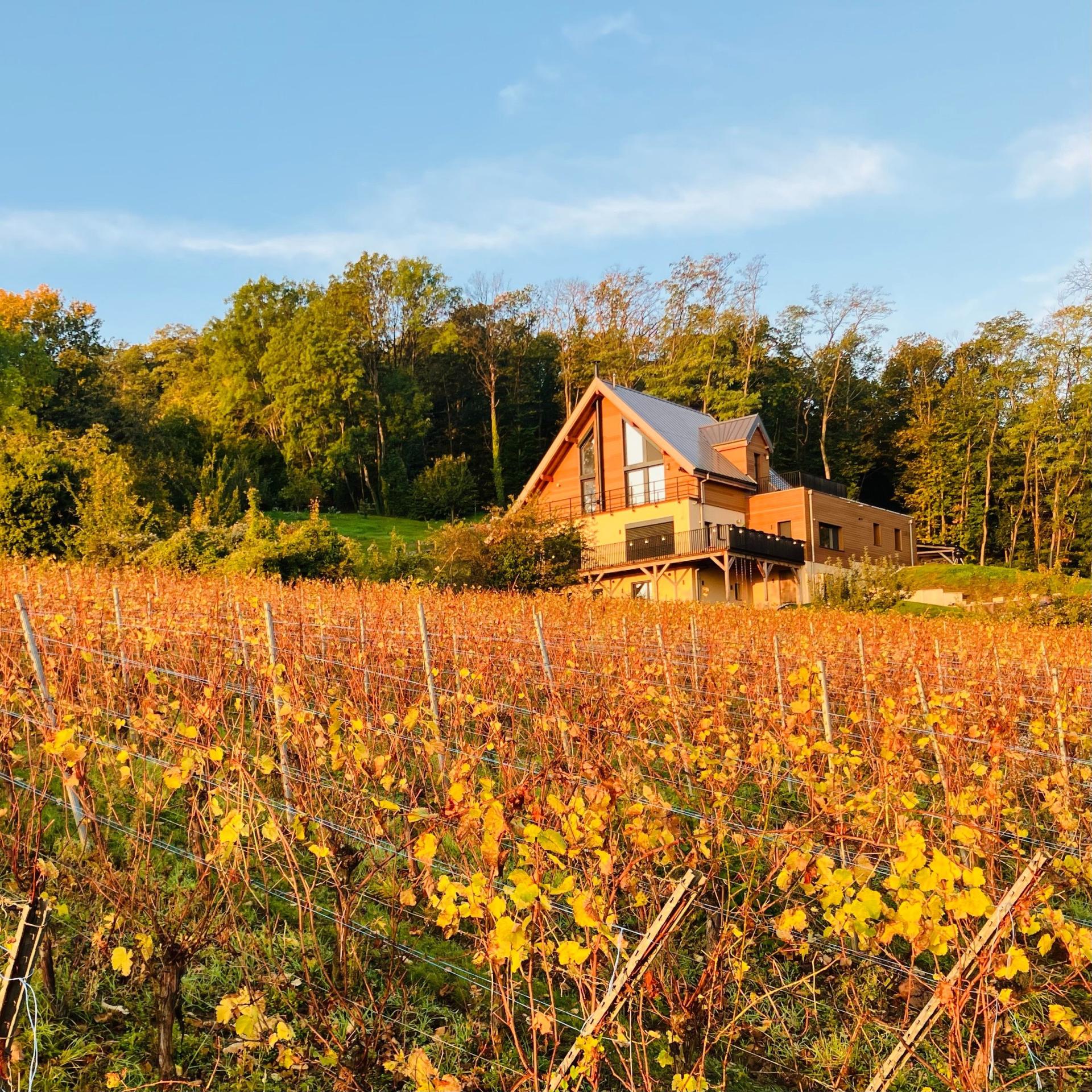 Photo 6 de l'annonce.