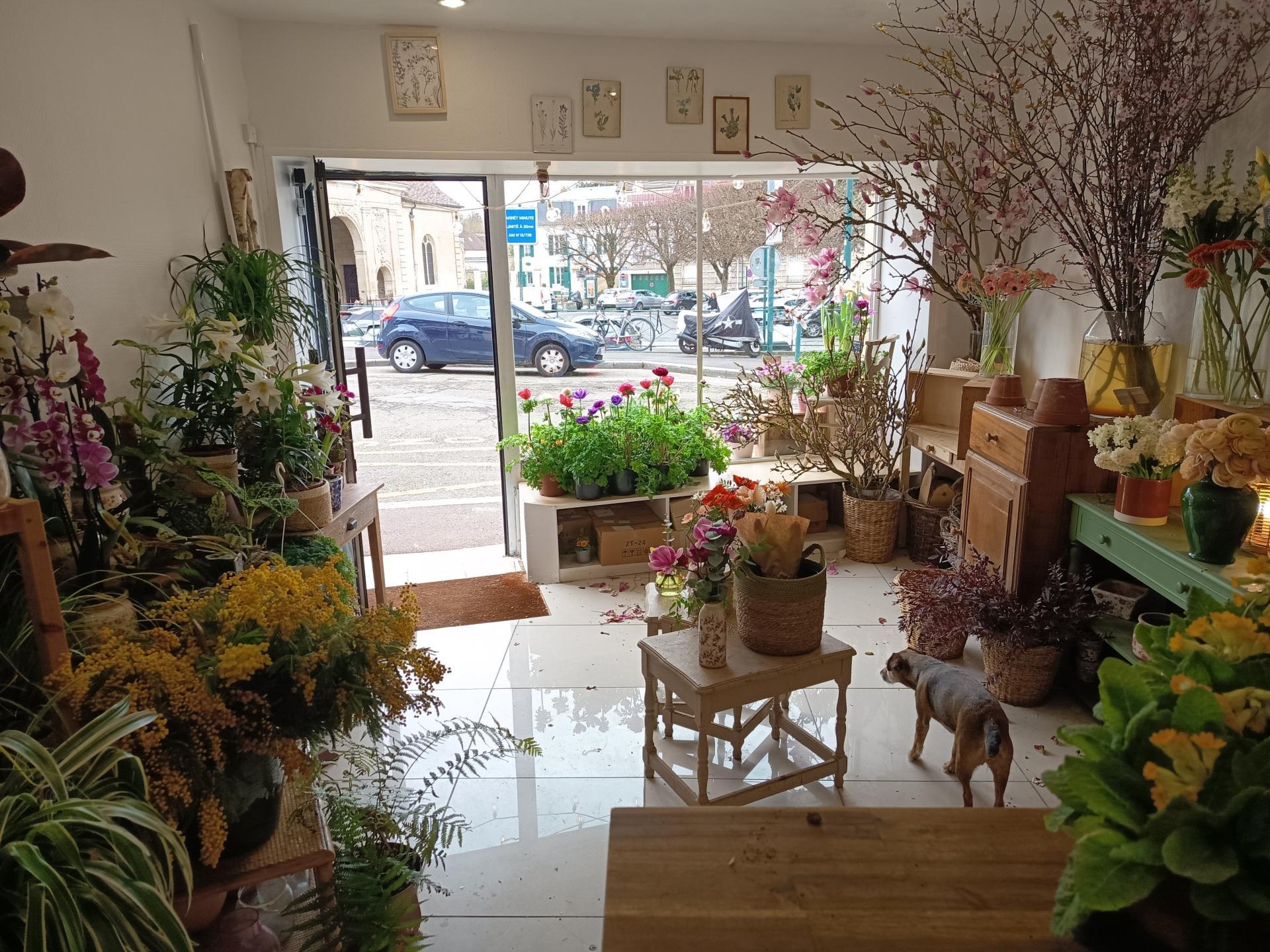 Photo-local_commercial