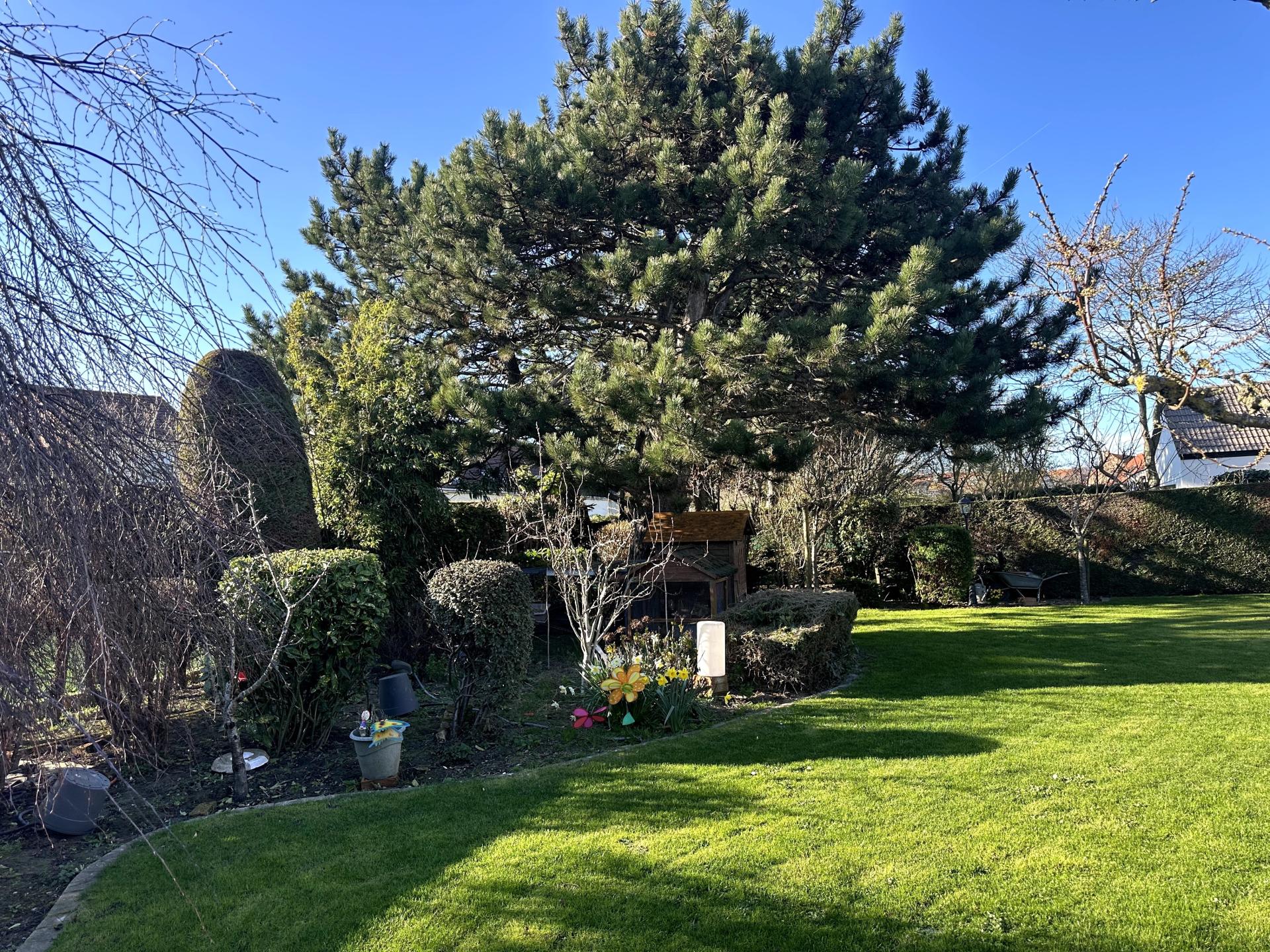 Photo 11 de l'annonce.