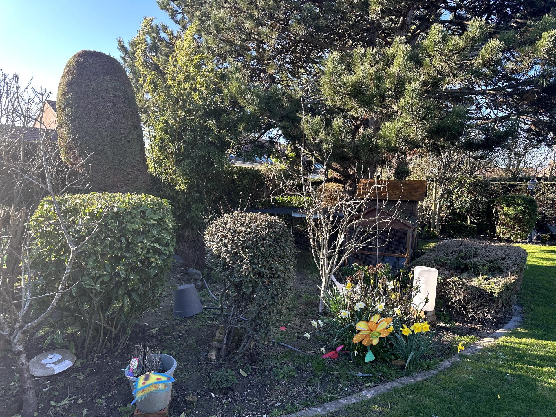 Photo 10 de l'annonce.