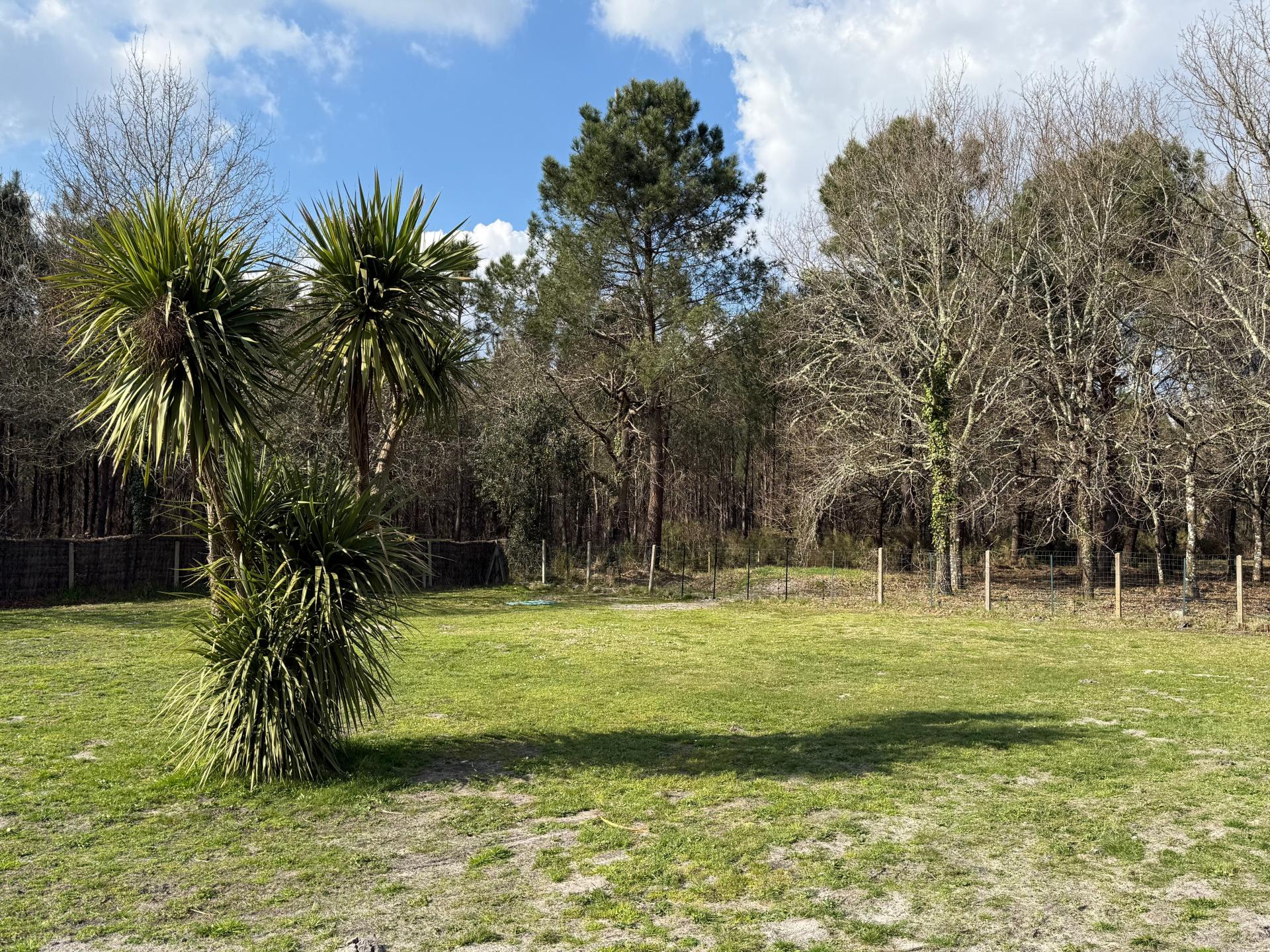 Photo 14 de l'annonce.