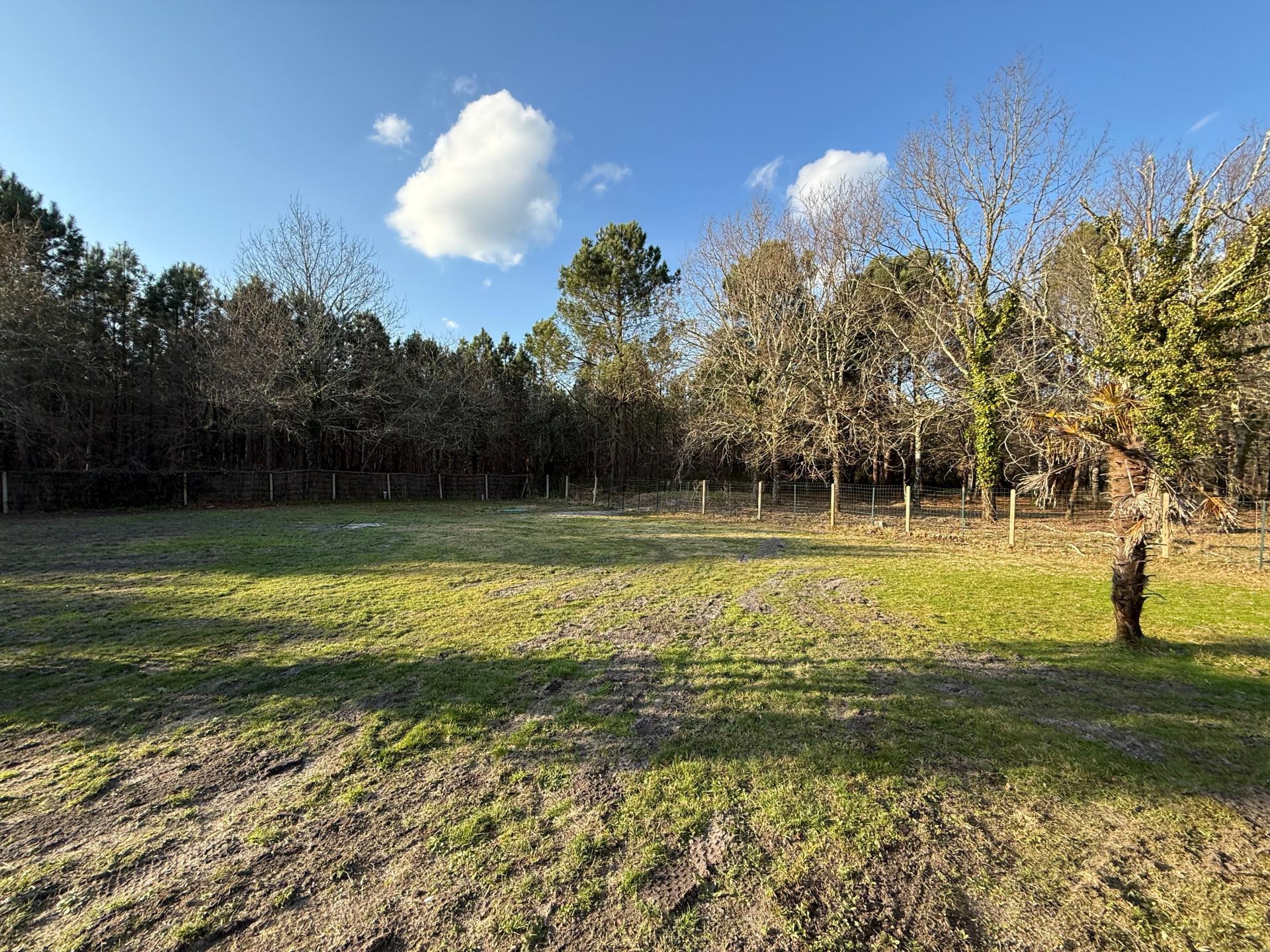 Photo 23 de l'annonce.