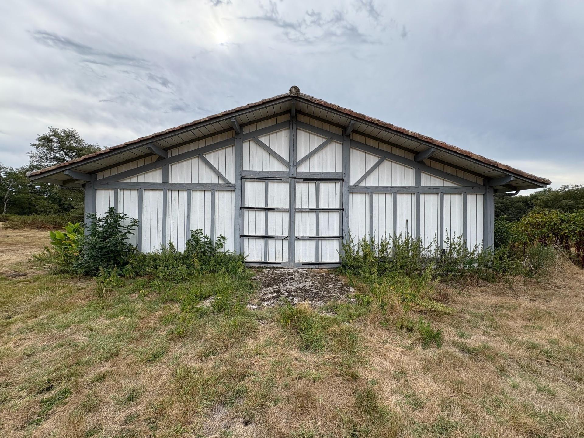 Photo 5 de l'annonce.