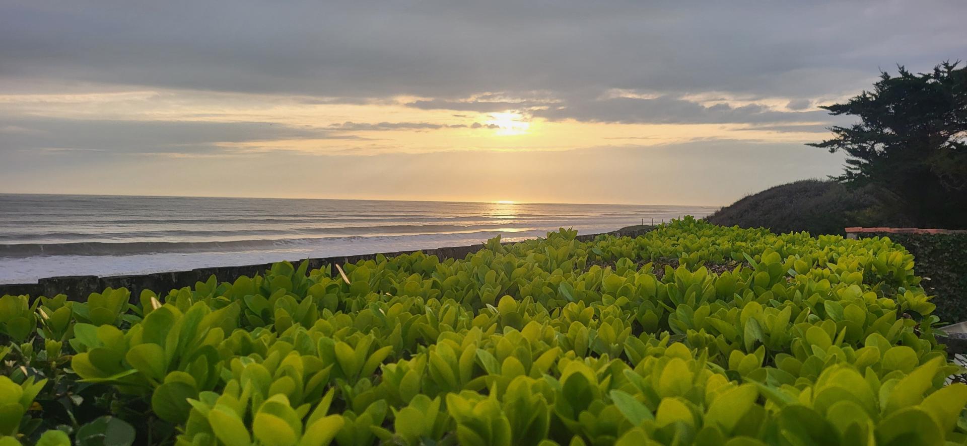 Photo 5 de l'annonce.