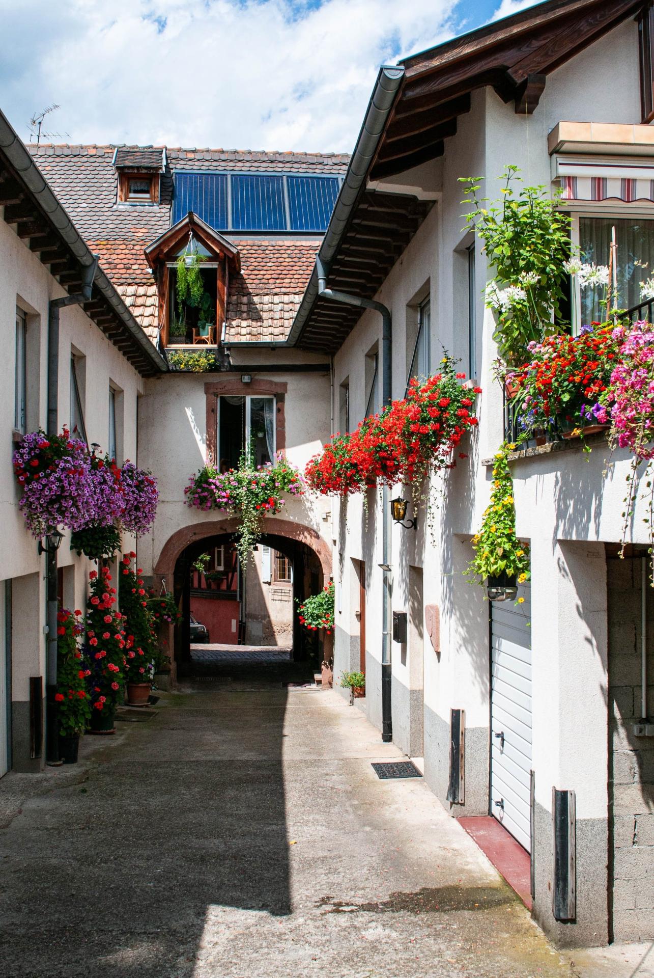 Photo 34 de l'annonce.