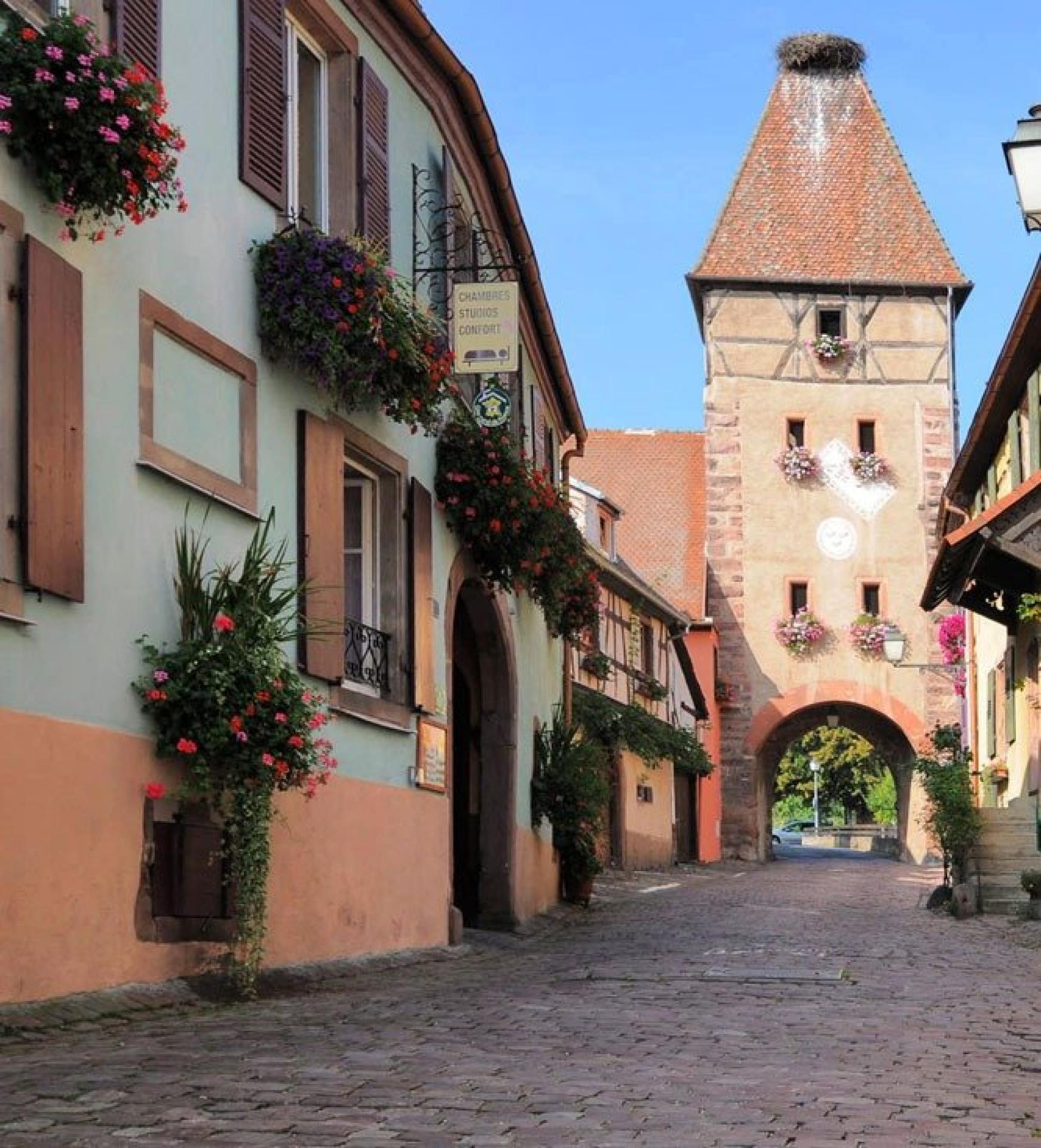 Photo 30 de l'annonce.