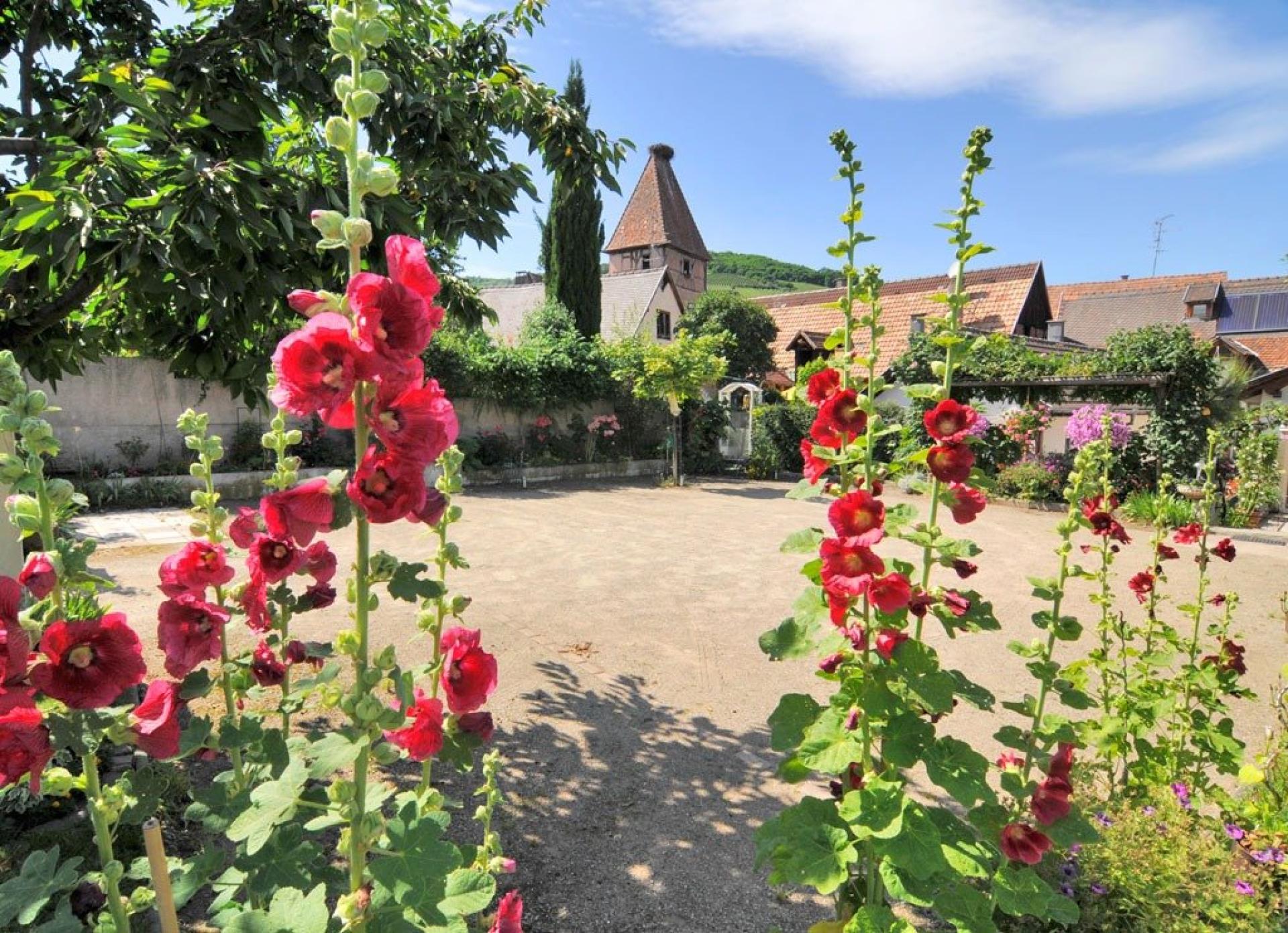 Photo 39 de l'annonce.