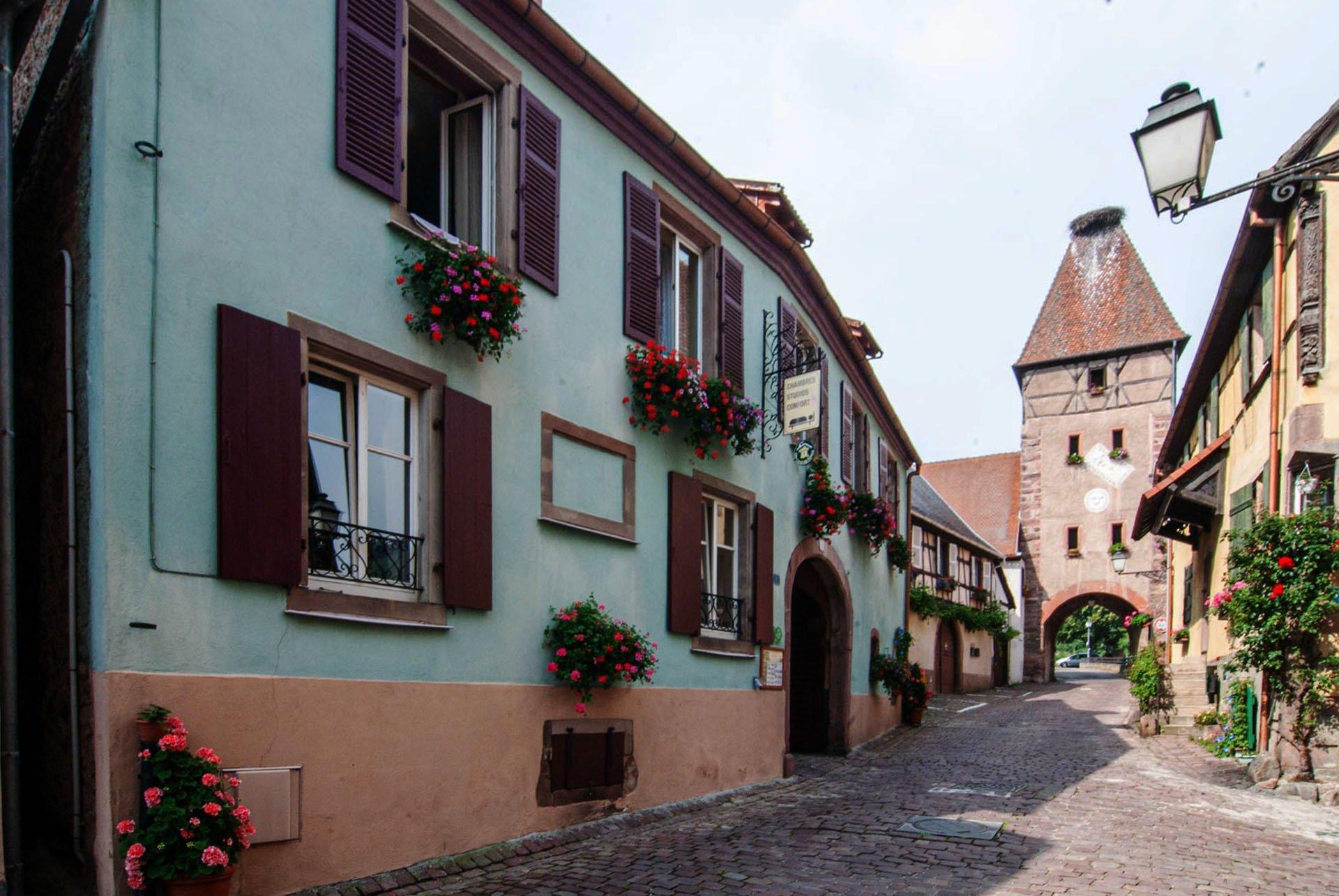 Photo 31 de l'annonce.