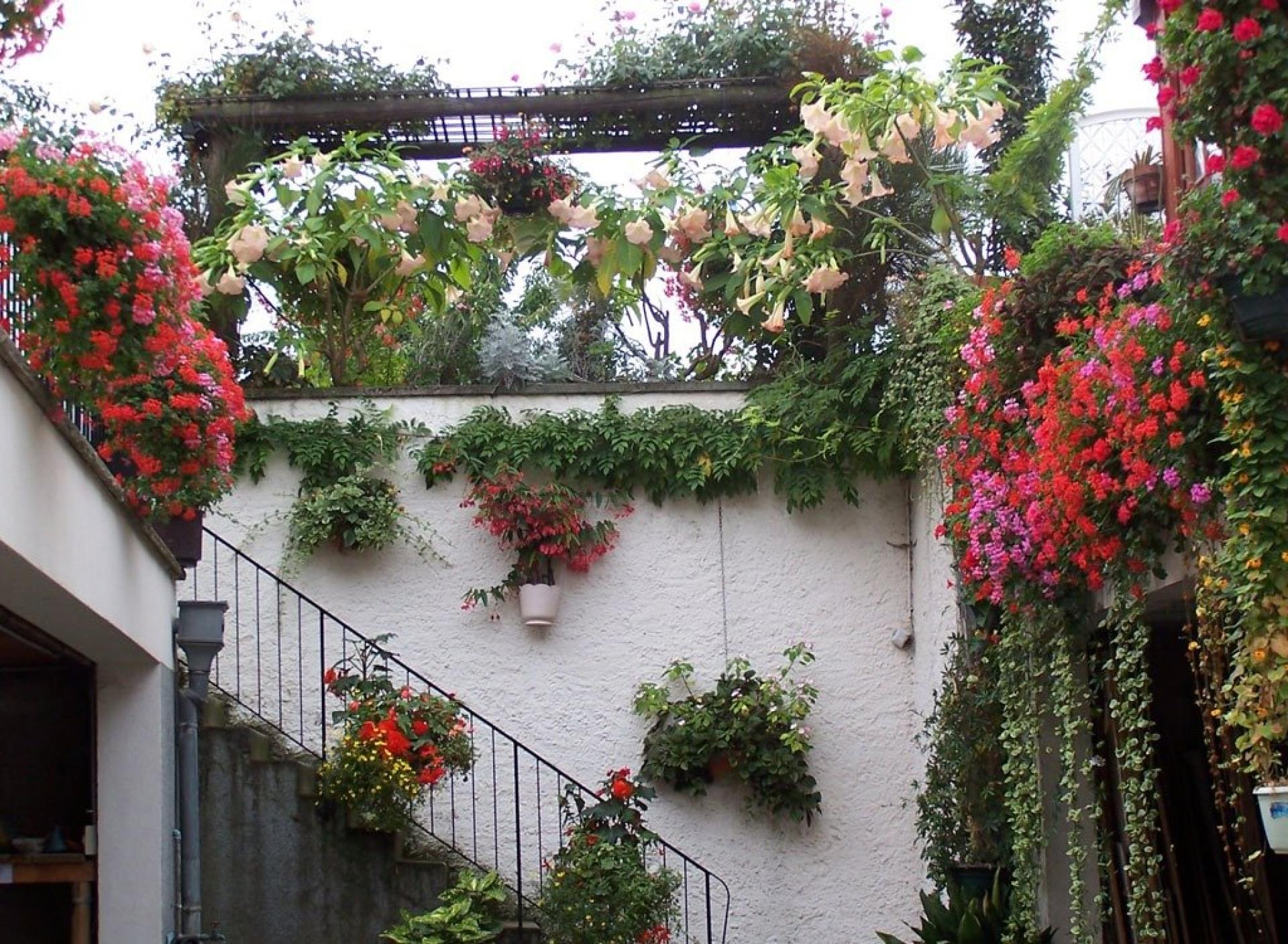 Photo 35 de l'annonce.