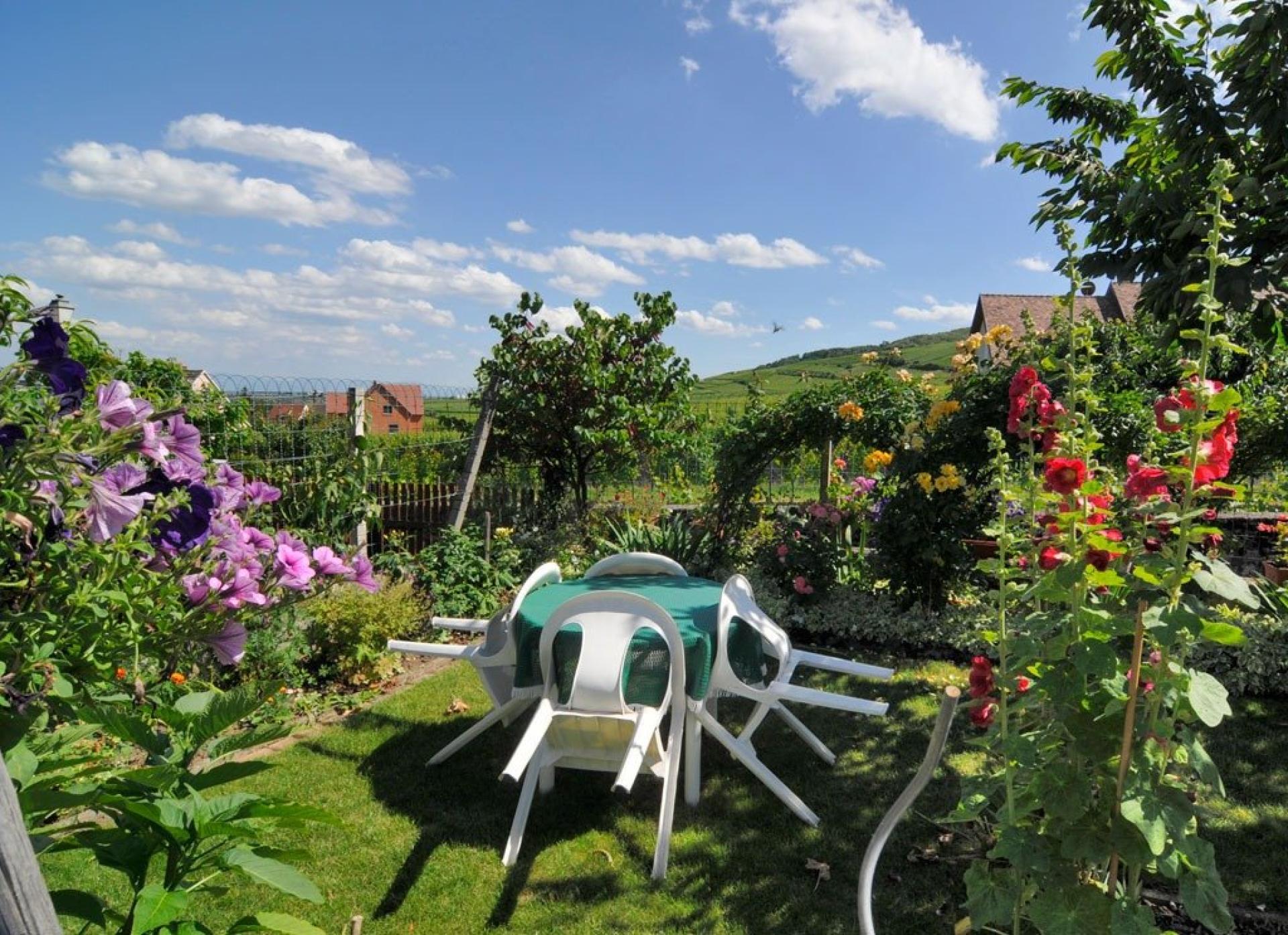 Photo 38 de l'annonce.