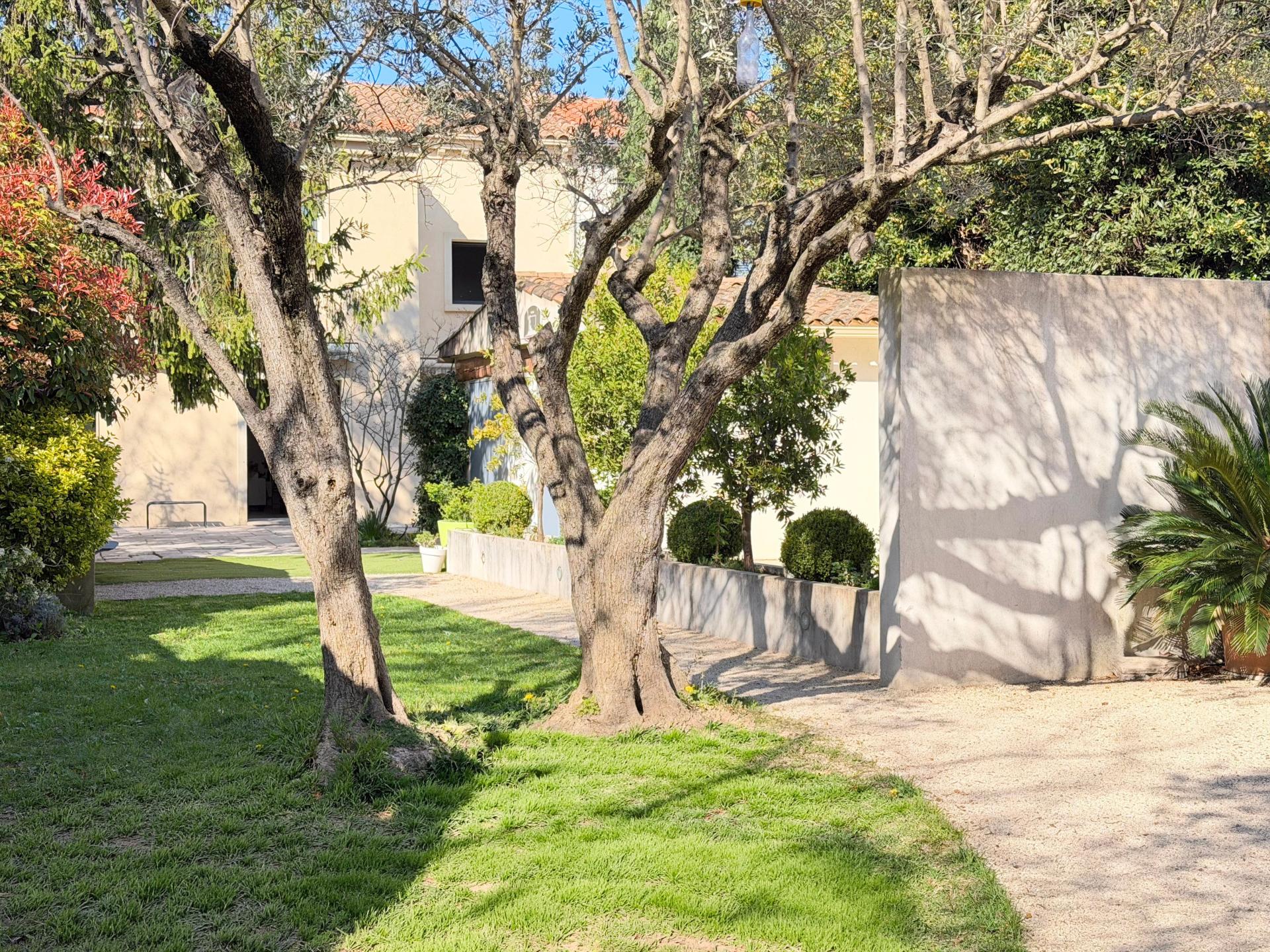 Photo 2 de l'annonce.