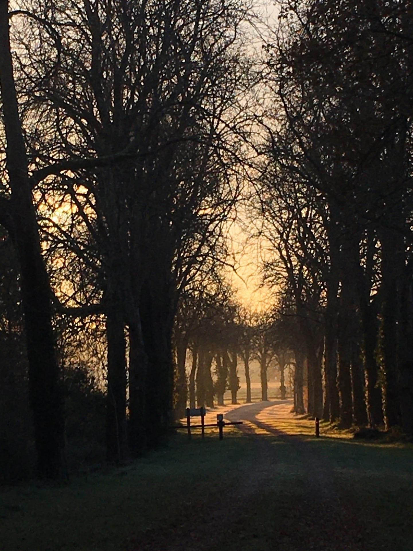 Photo 42 de l'annonce.