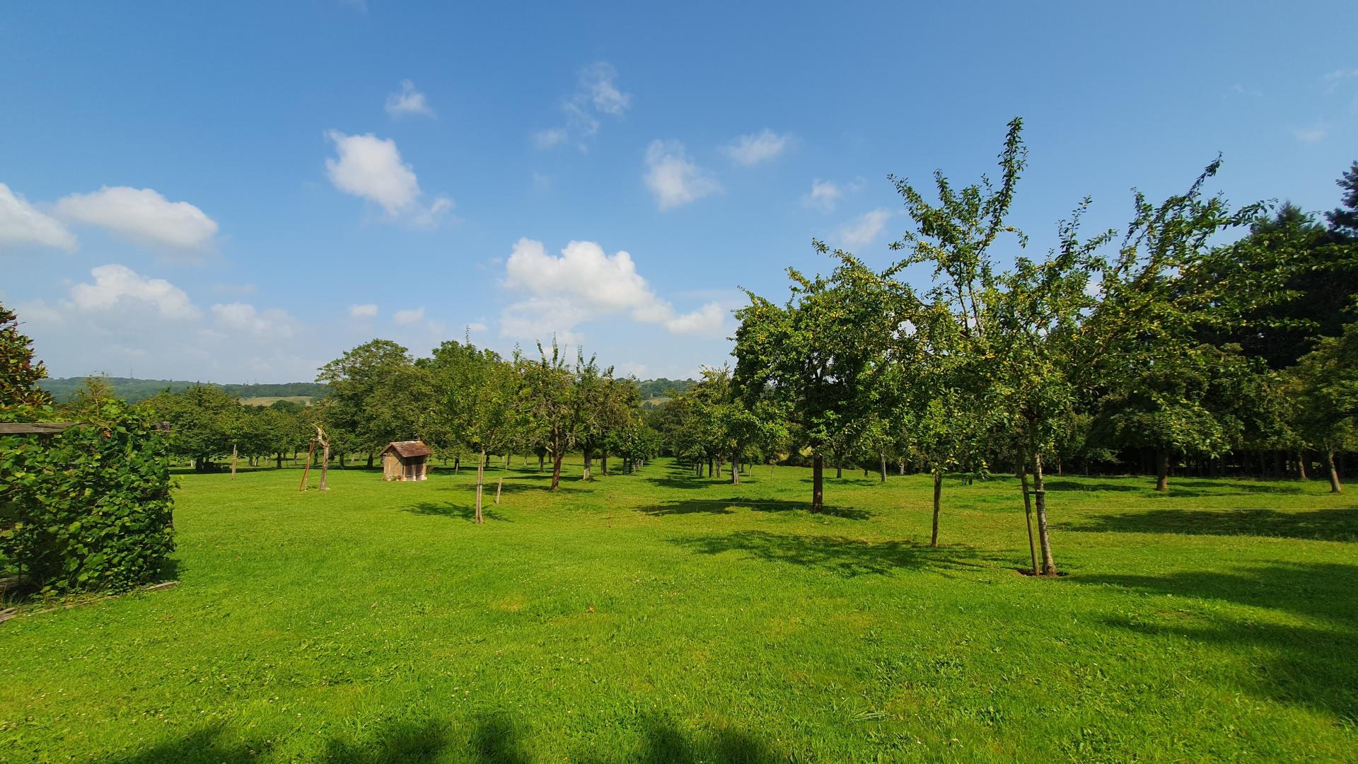 Photo 7 de l'annonce.