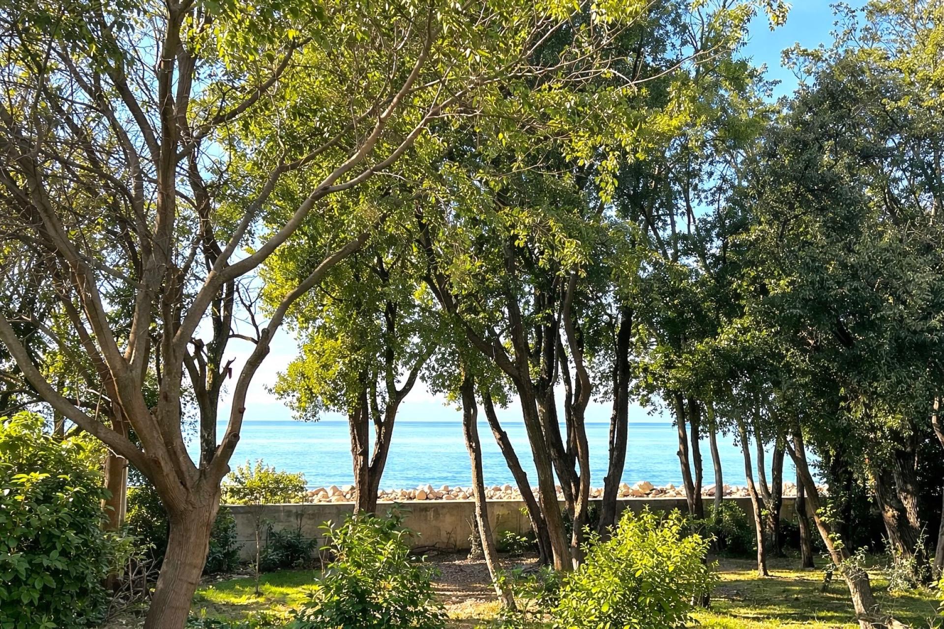 Photo 2 de l'annonce.