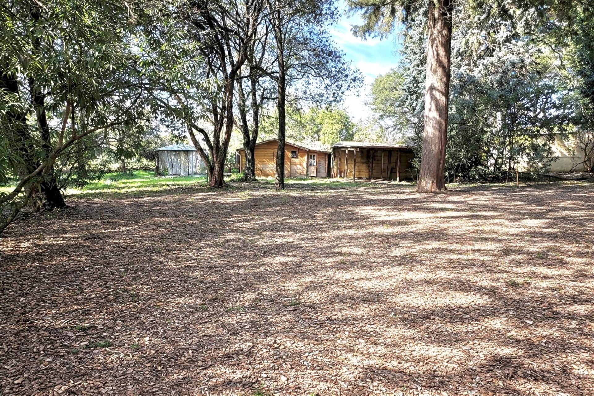 Photo 24 de l'annonce.