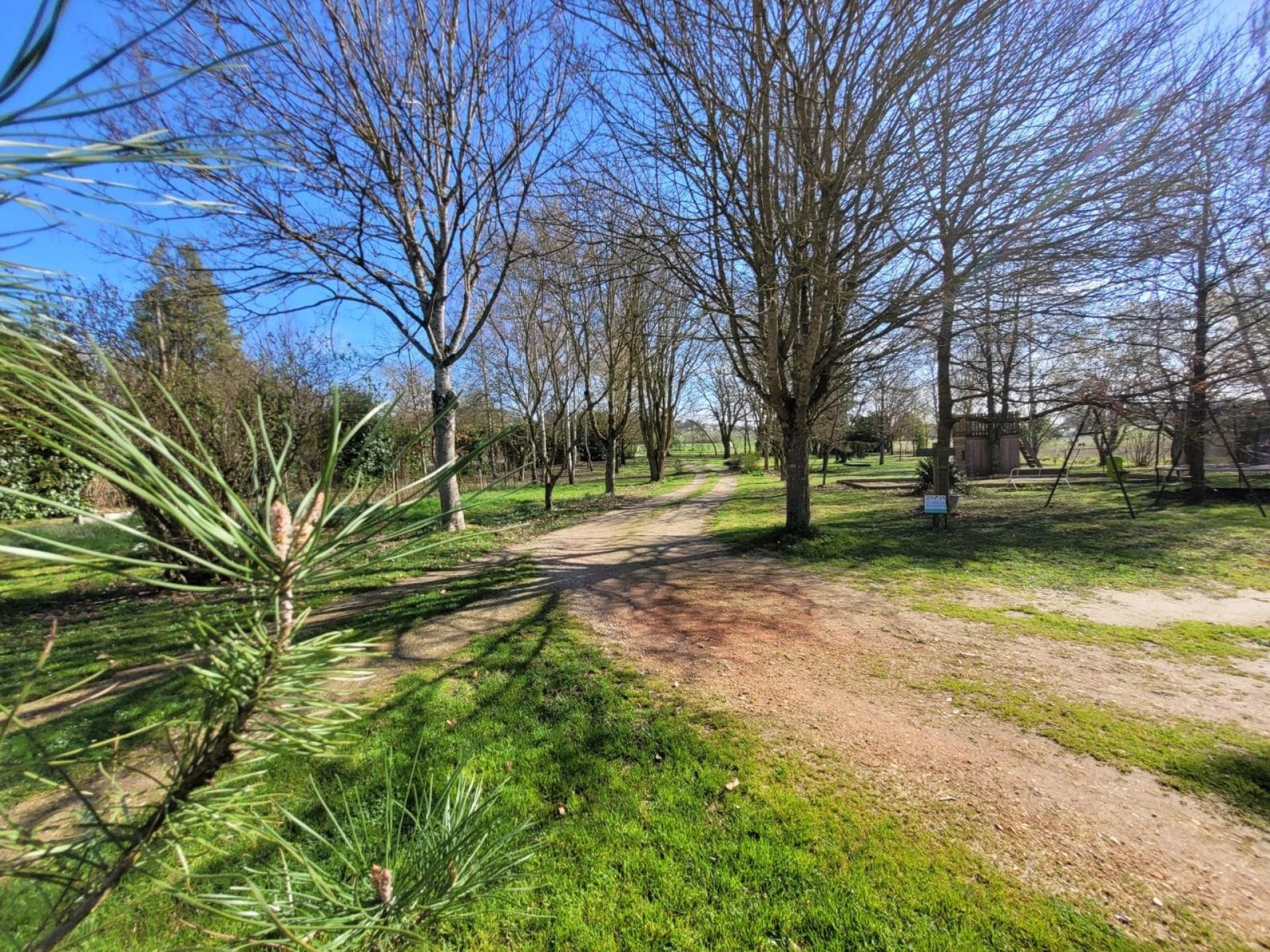 Photo 3 de l'annonce.