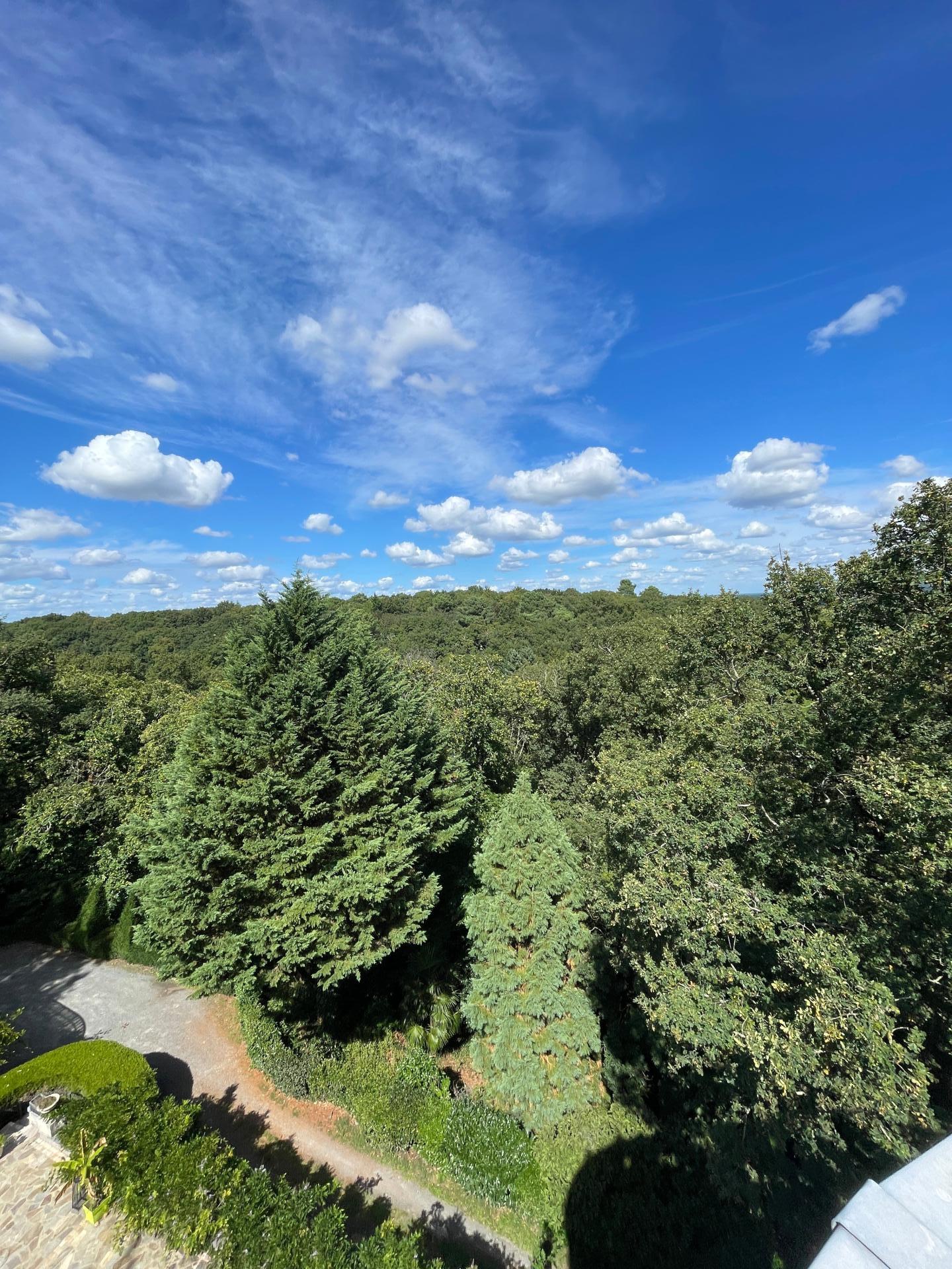 Photo 18 de l'annonce.