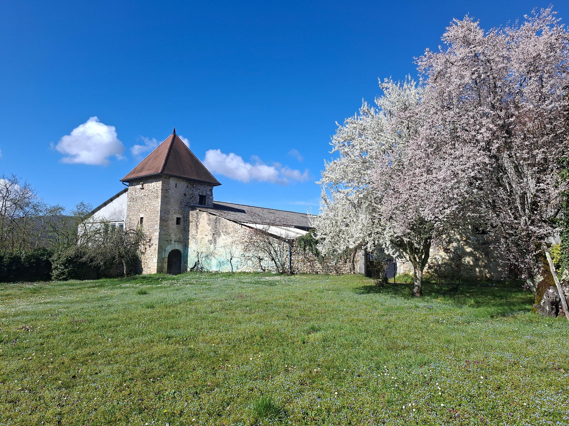 Photo 3 de l'annonce.