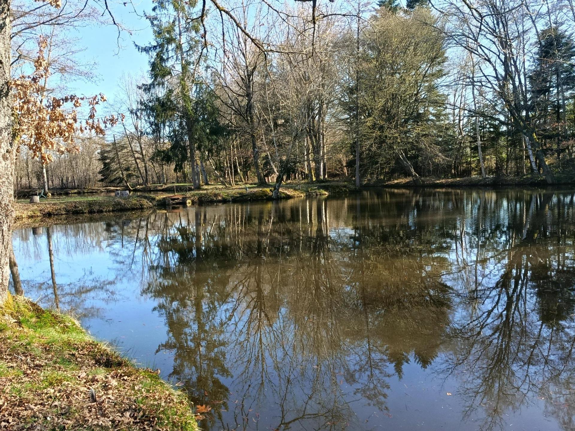 Photo 14 of the listing.