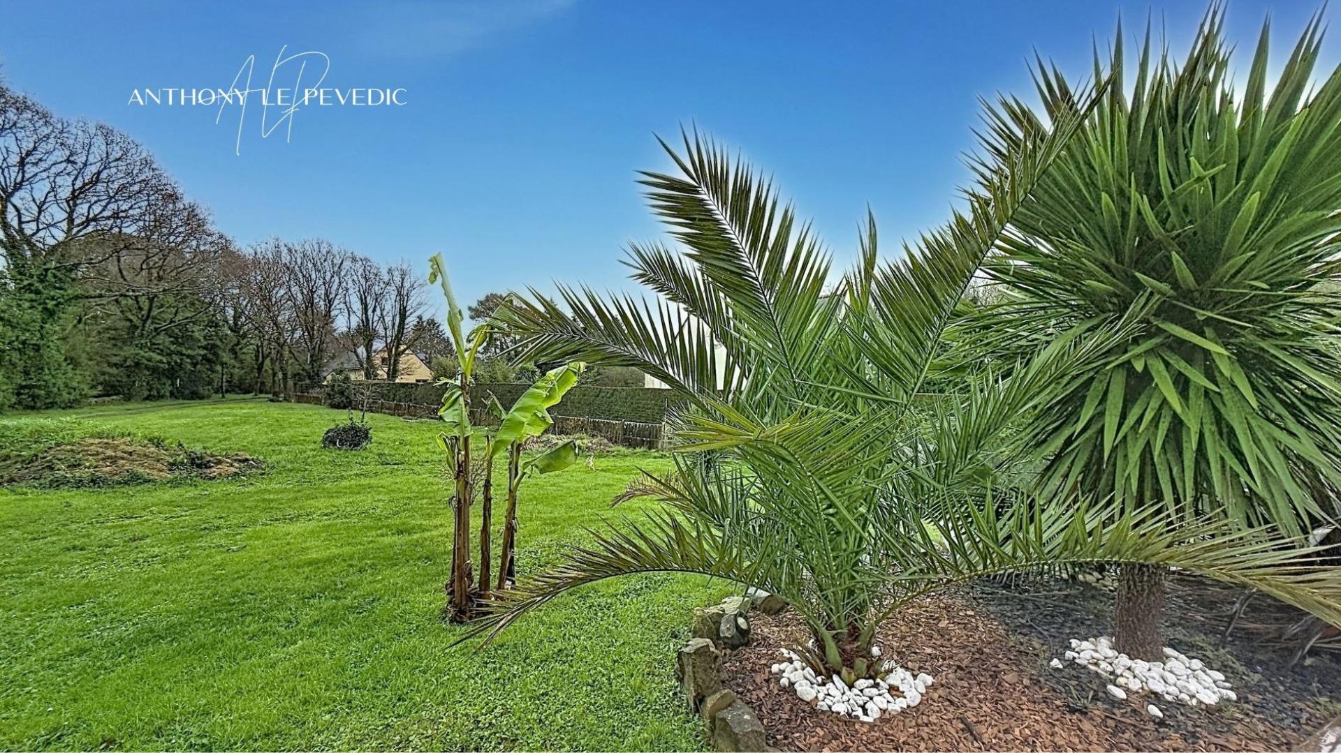 Photo 13 de l'annonce.