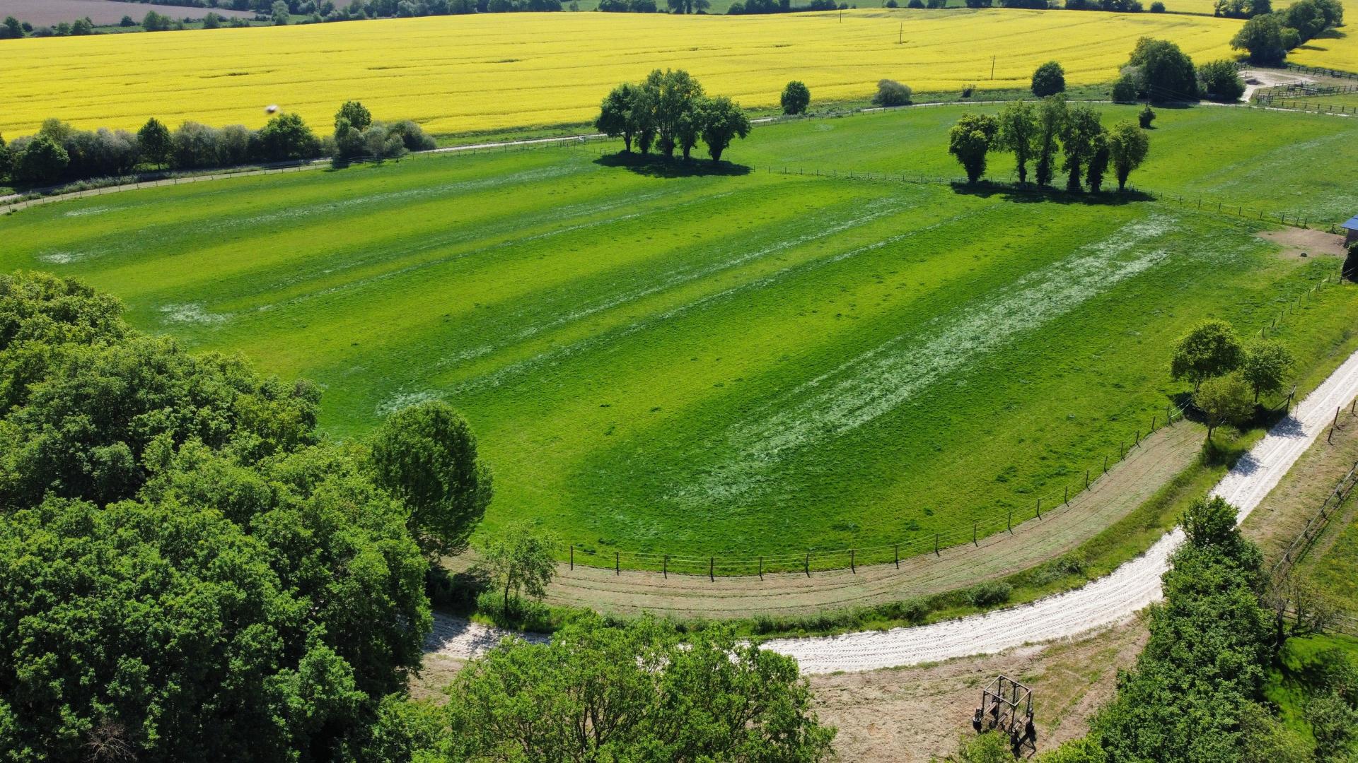 Photo 13 de l'annonce.