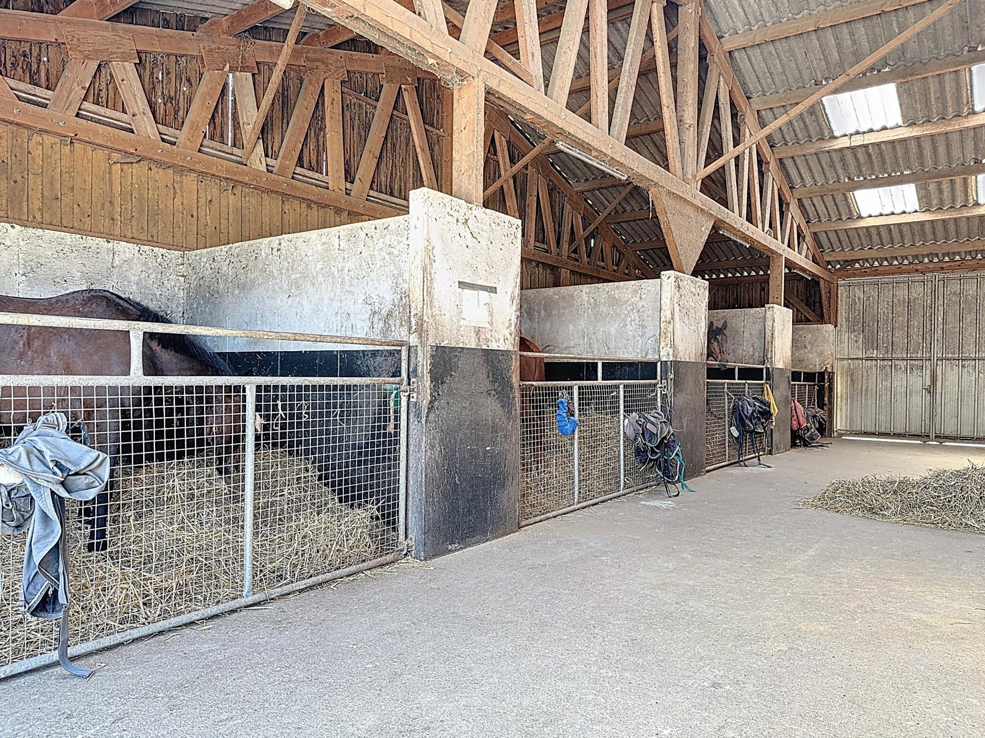 Photo 10 de l'annonce.