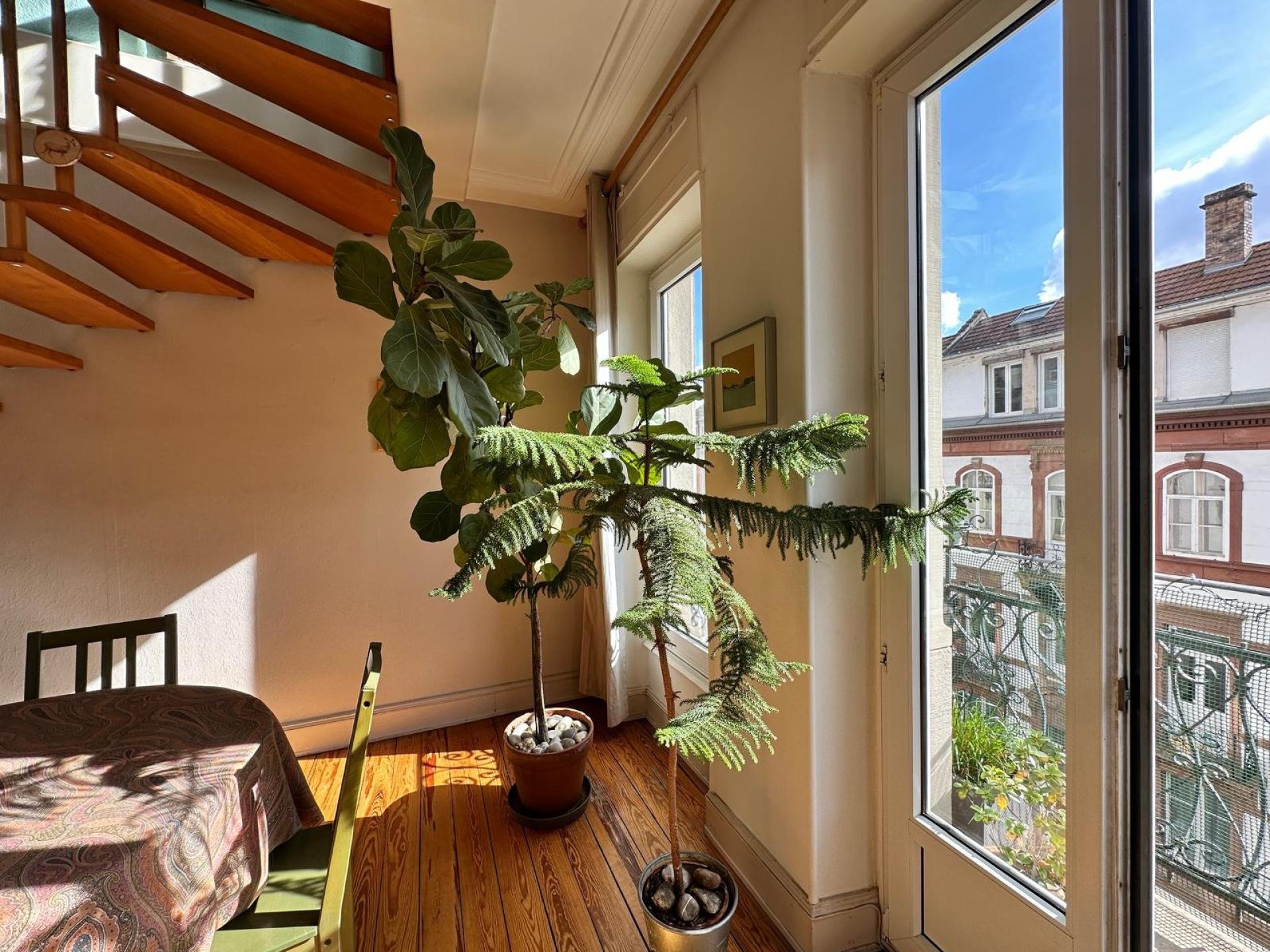 Photo 5 de l'annonce.