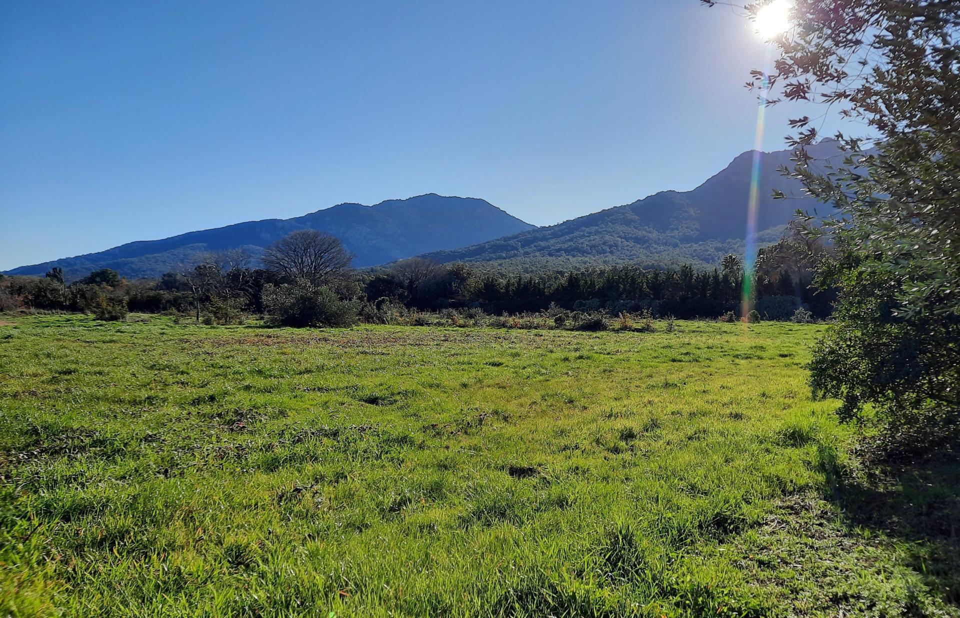 Photo-terrain