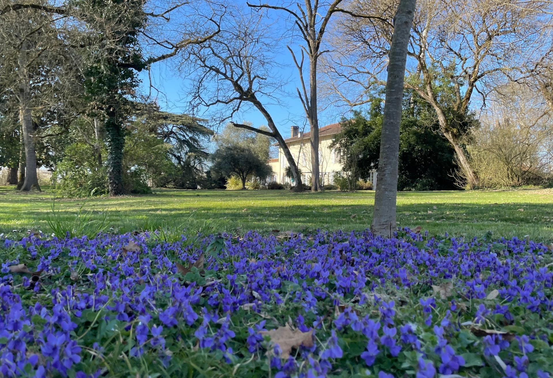 Photo 4 de l'annonce.