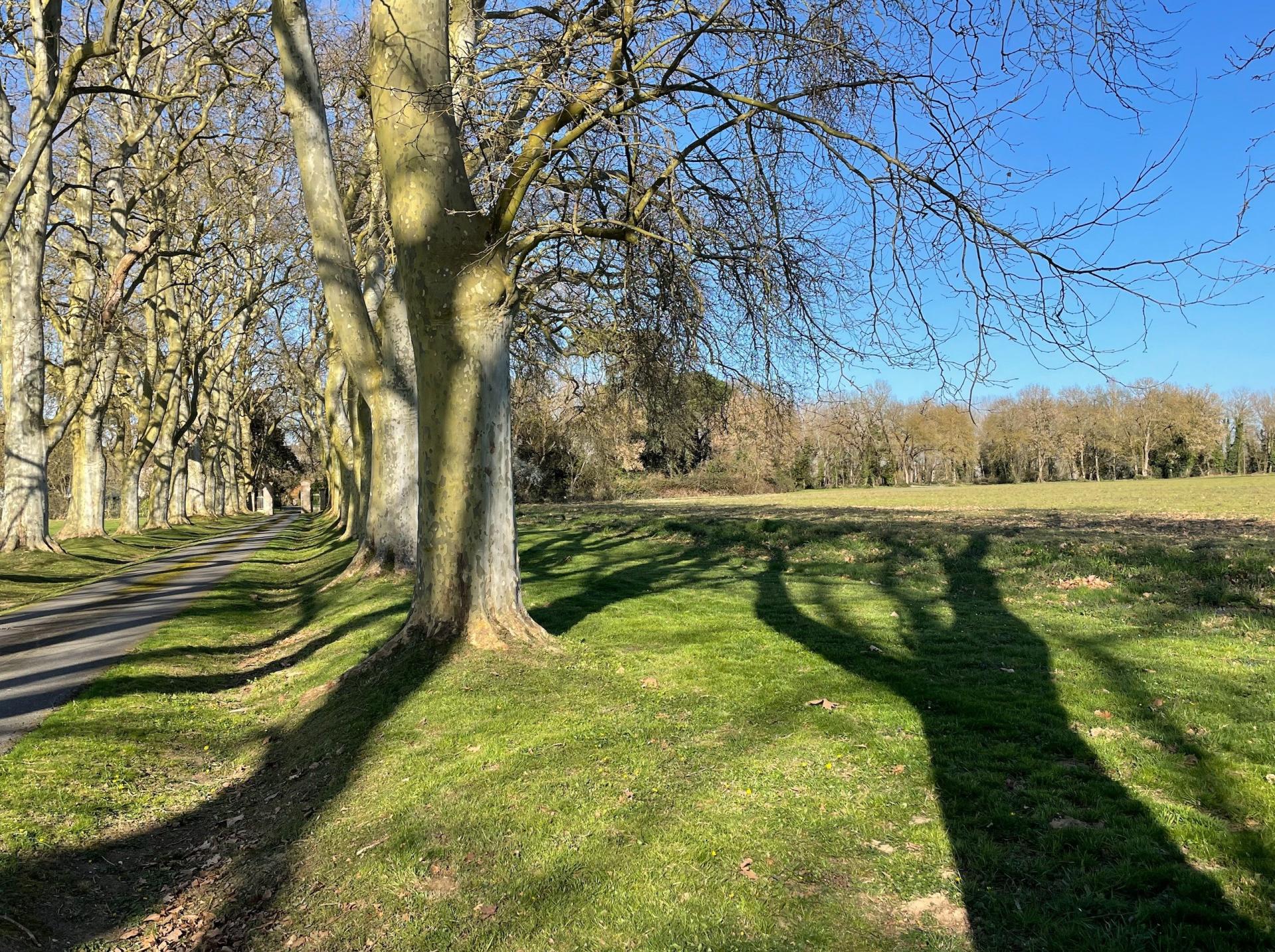 Photo 2 de l'annonce.