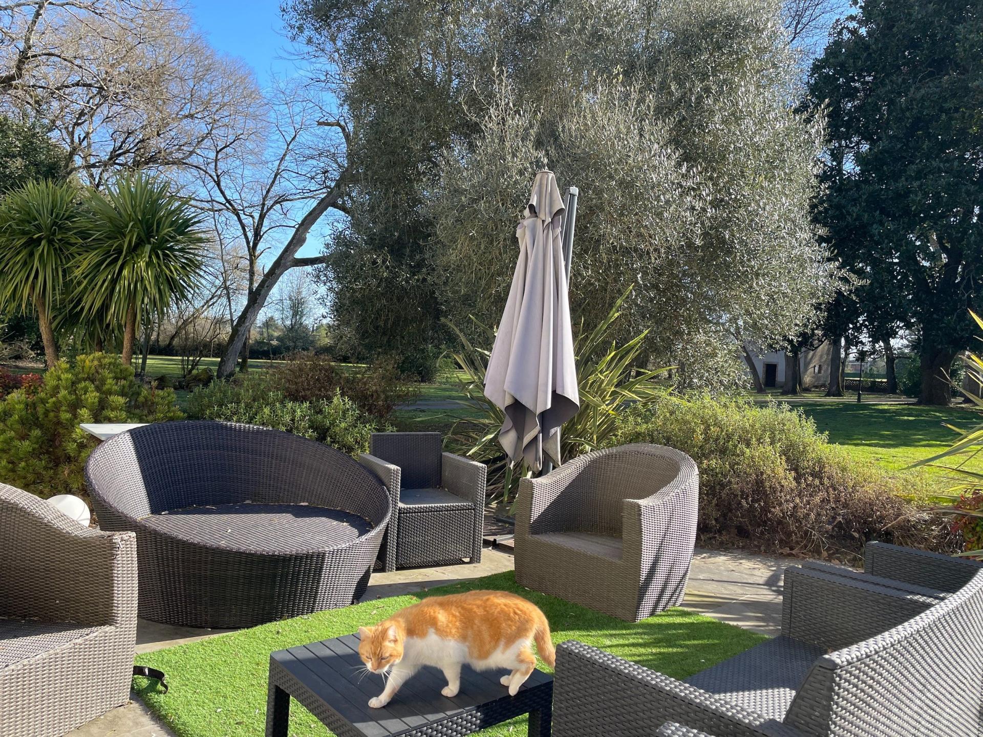 Photo 7 de l'annonce.