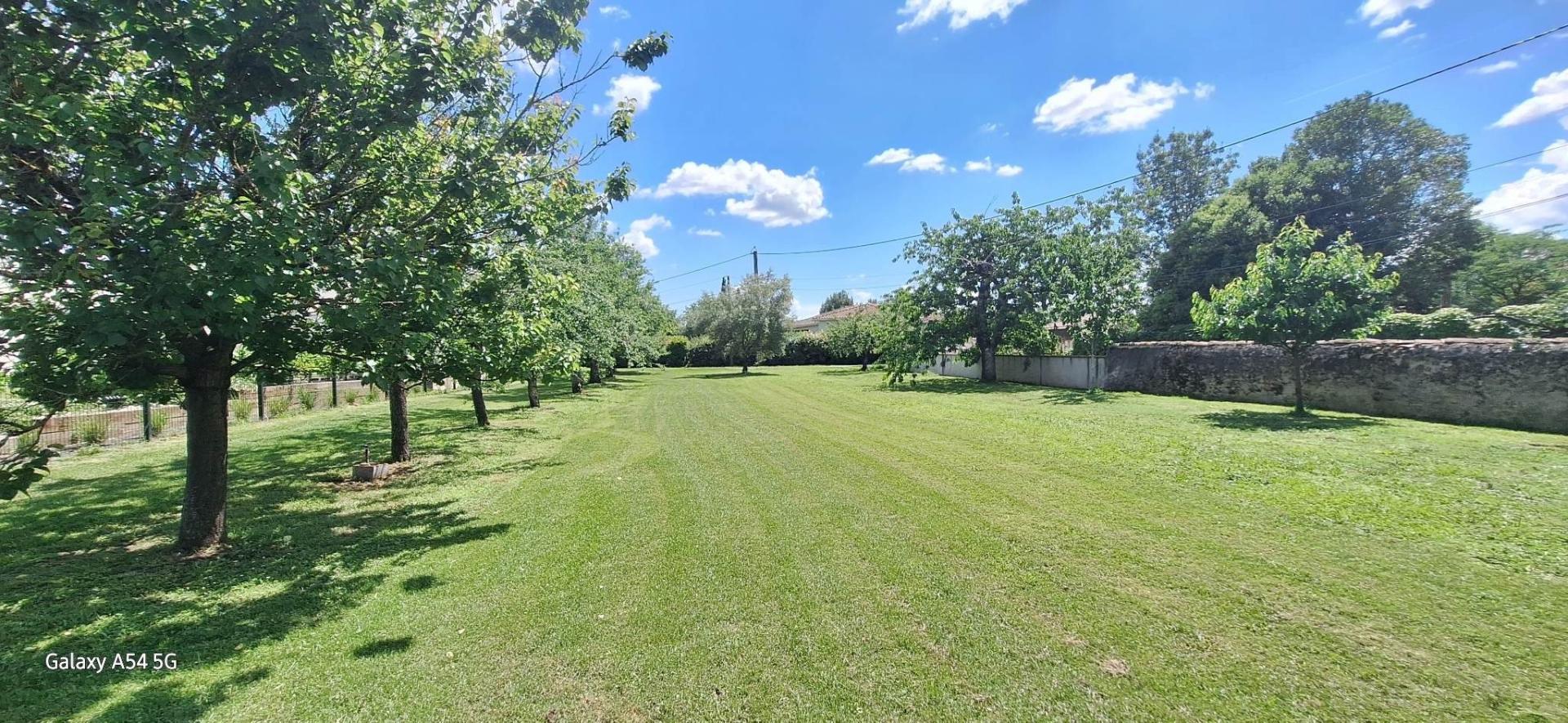 Photo 13 de l'annonce.