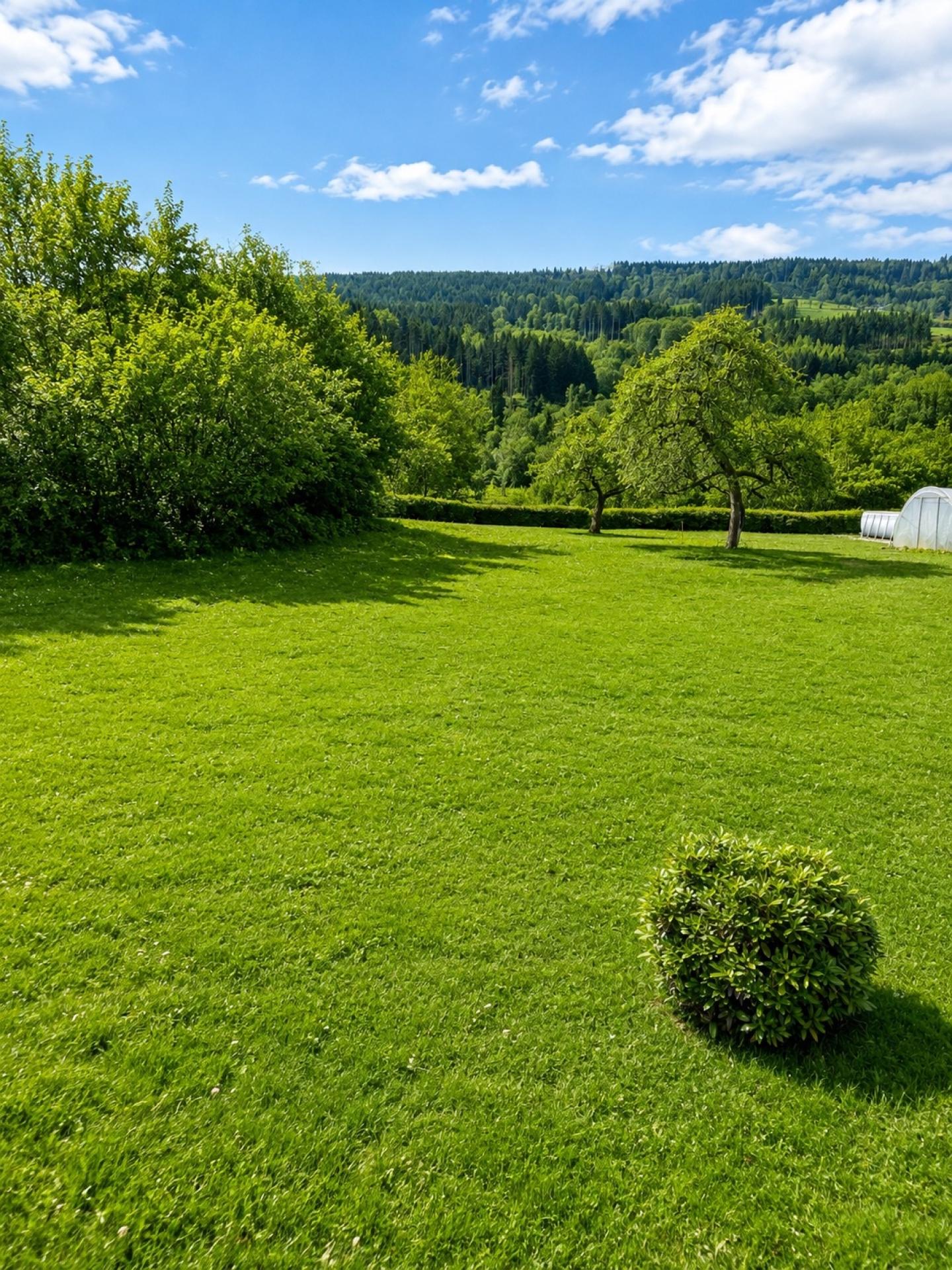 Photo-terrain