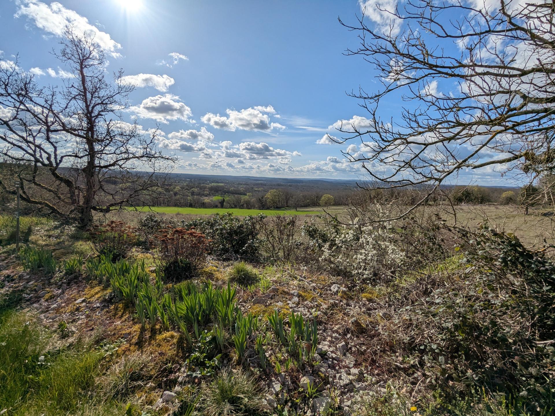 Photo 11 de l'annonce.