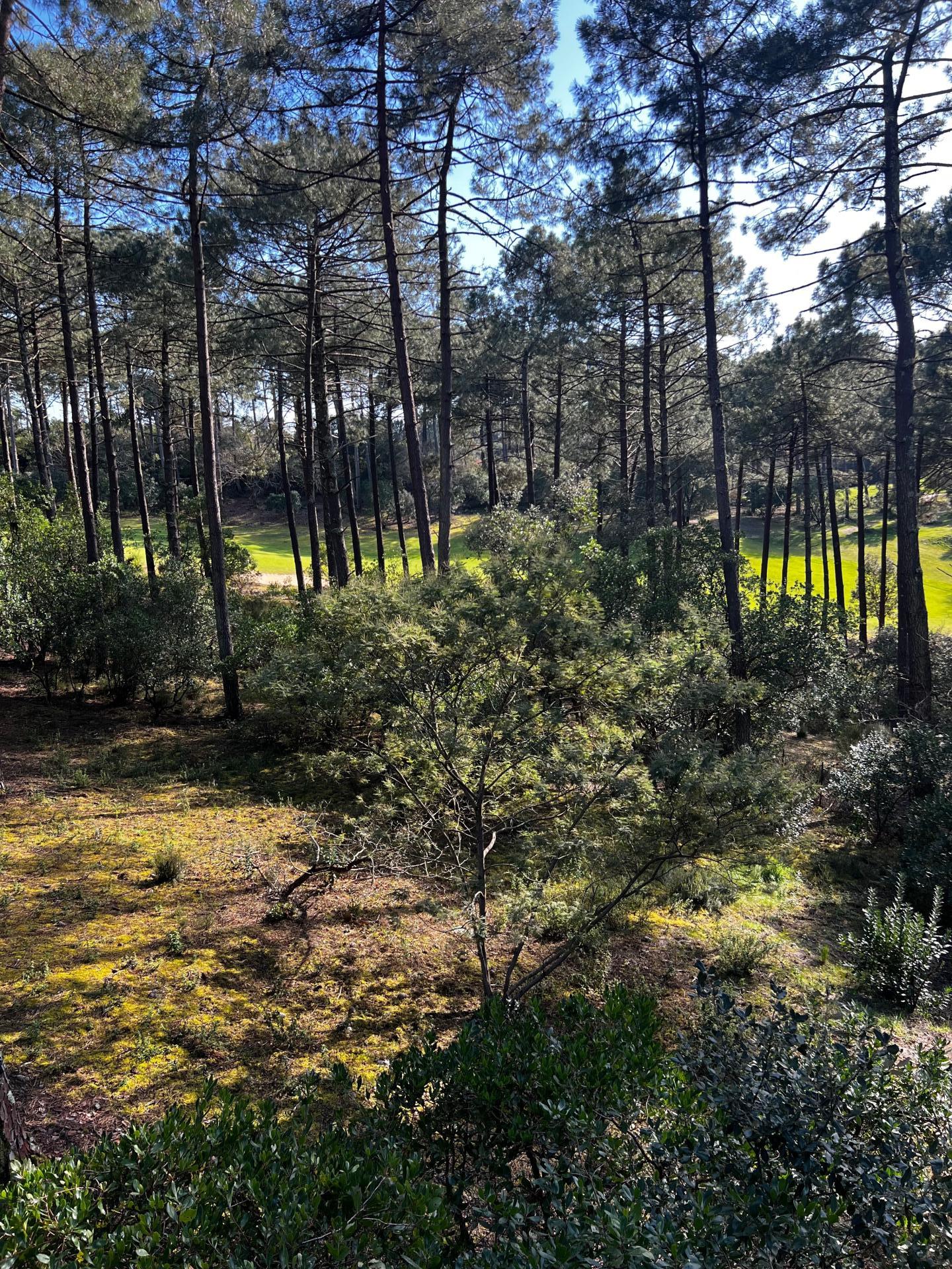 Photo 3 de l'annonce.