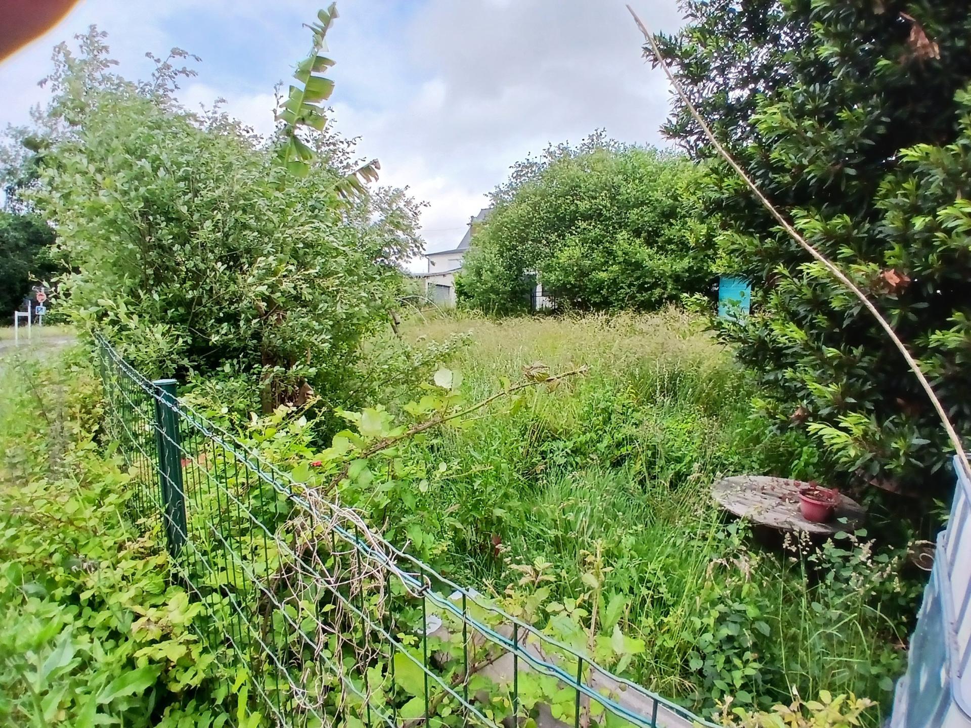 Photo-terrain