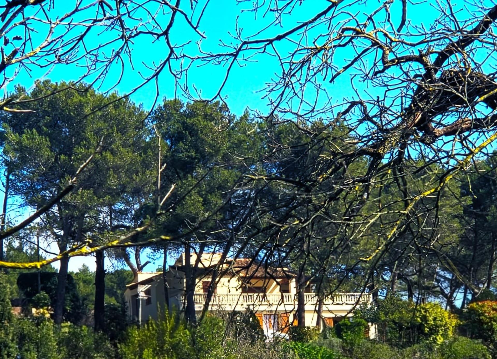 Photo 2 de l'annonce.