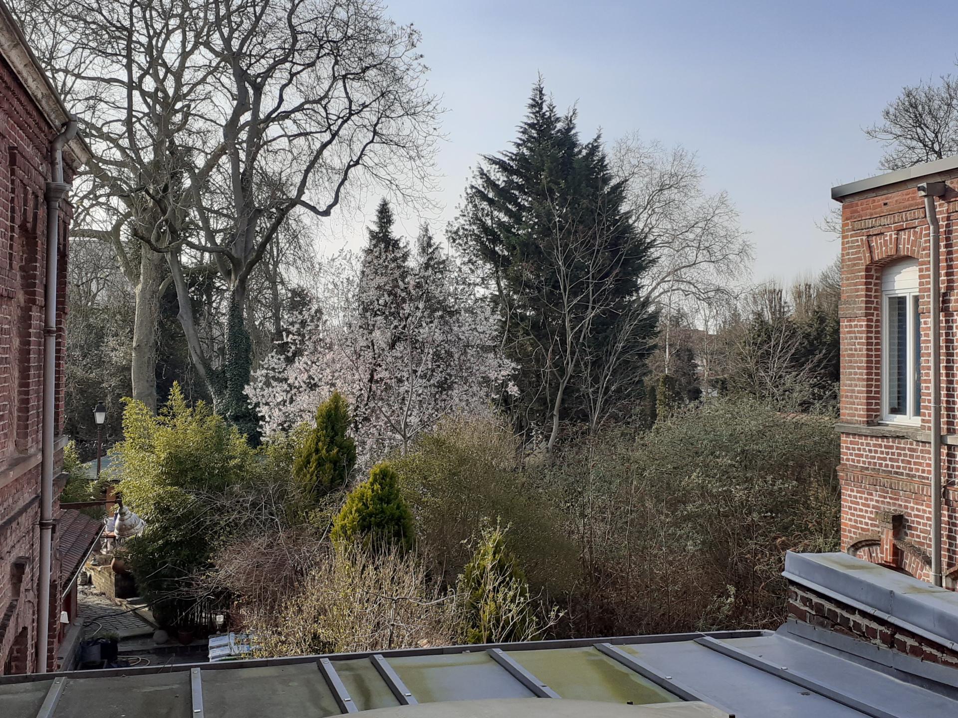 Photo-appartement