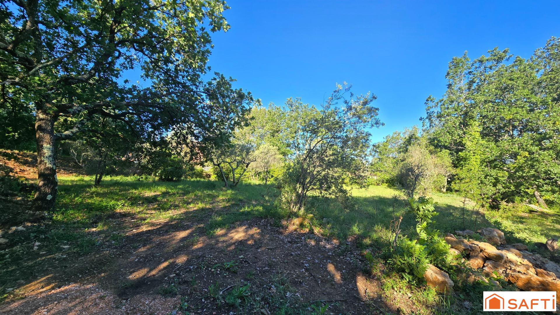 Photo-terrain