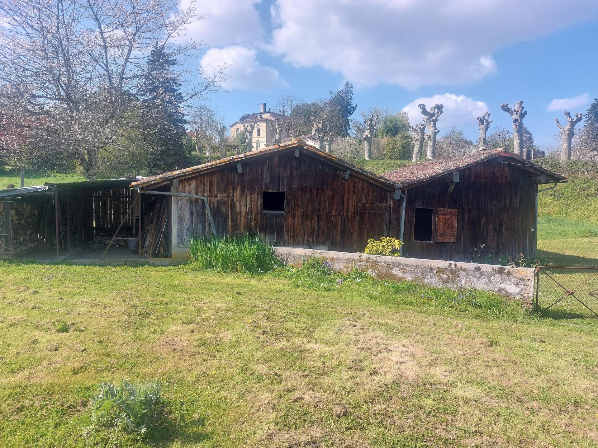 Photo 12 de l'annonce.