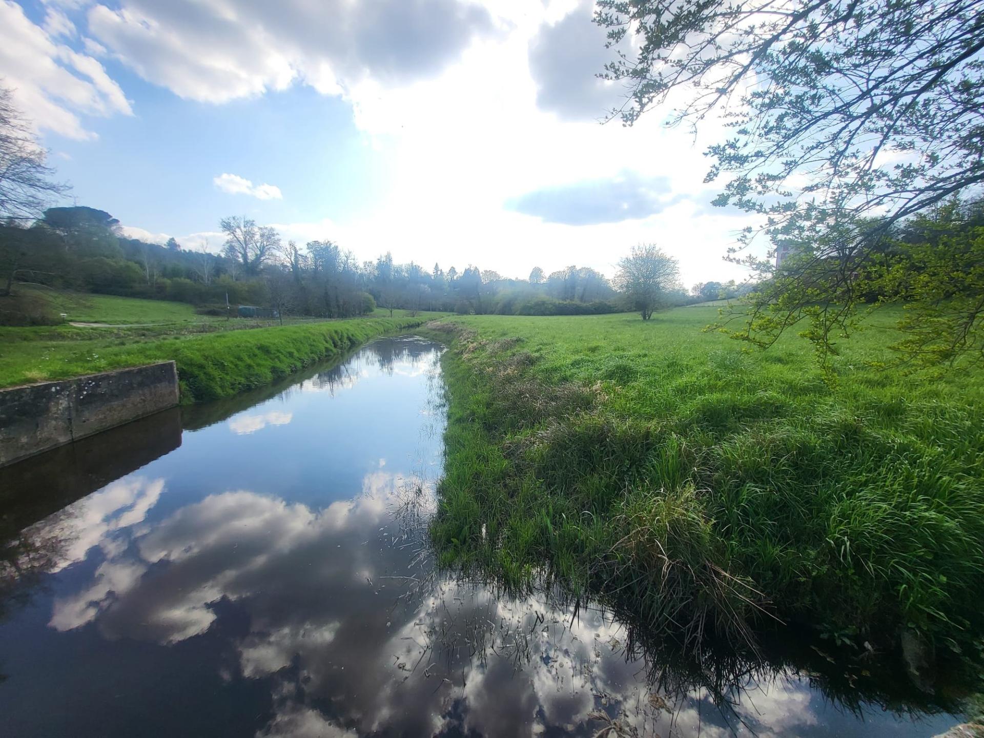 Photo 13 de l'annonce.