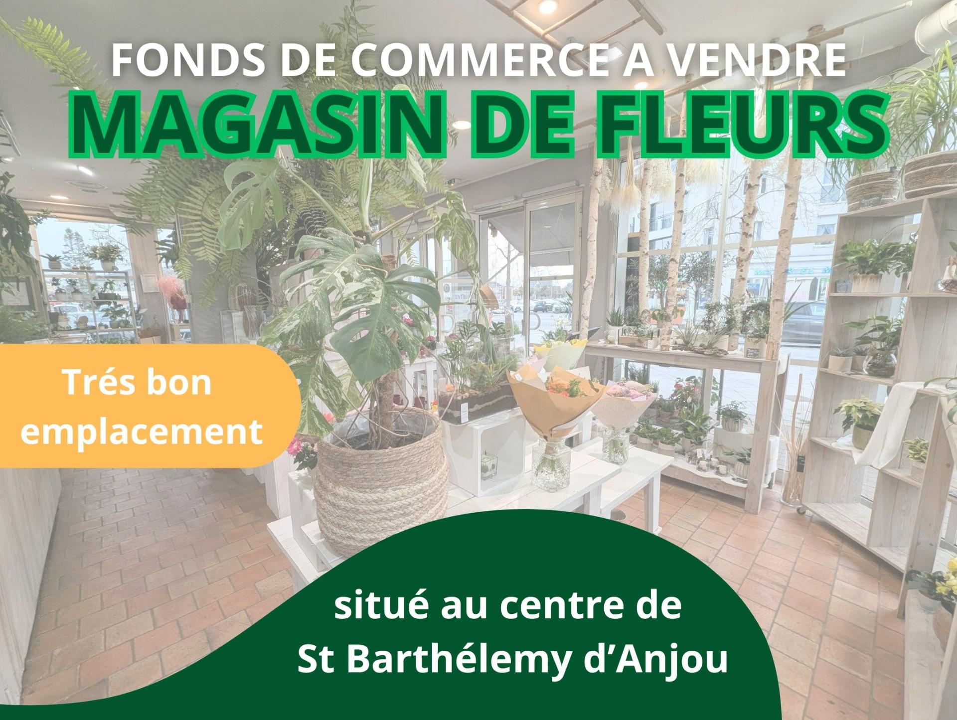 Photo-fonds_de_commerce