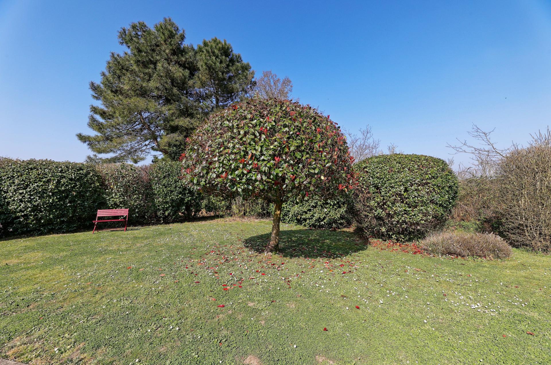 Photo 7 de l'annonce.