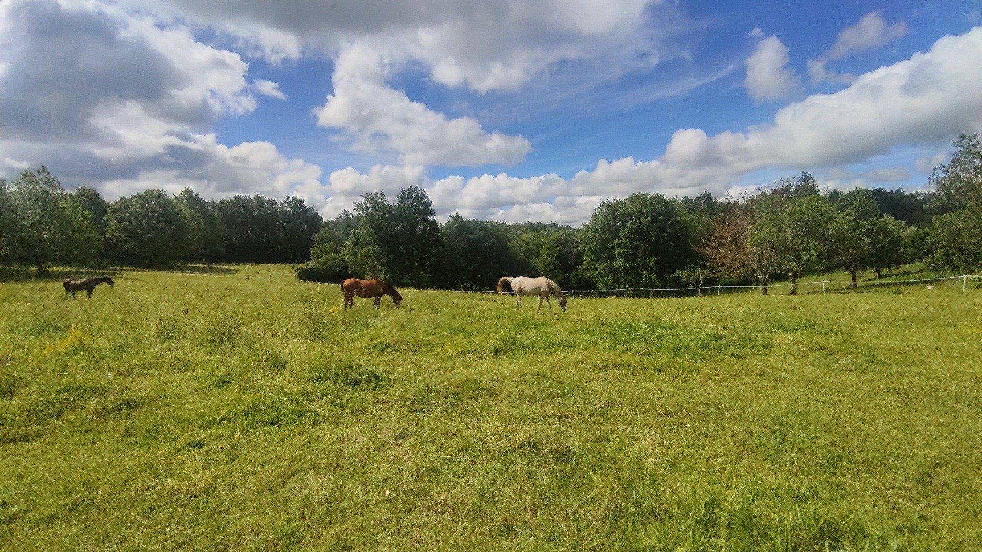 Photo 14 de l'annonce.