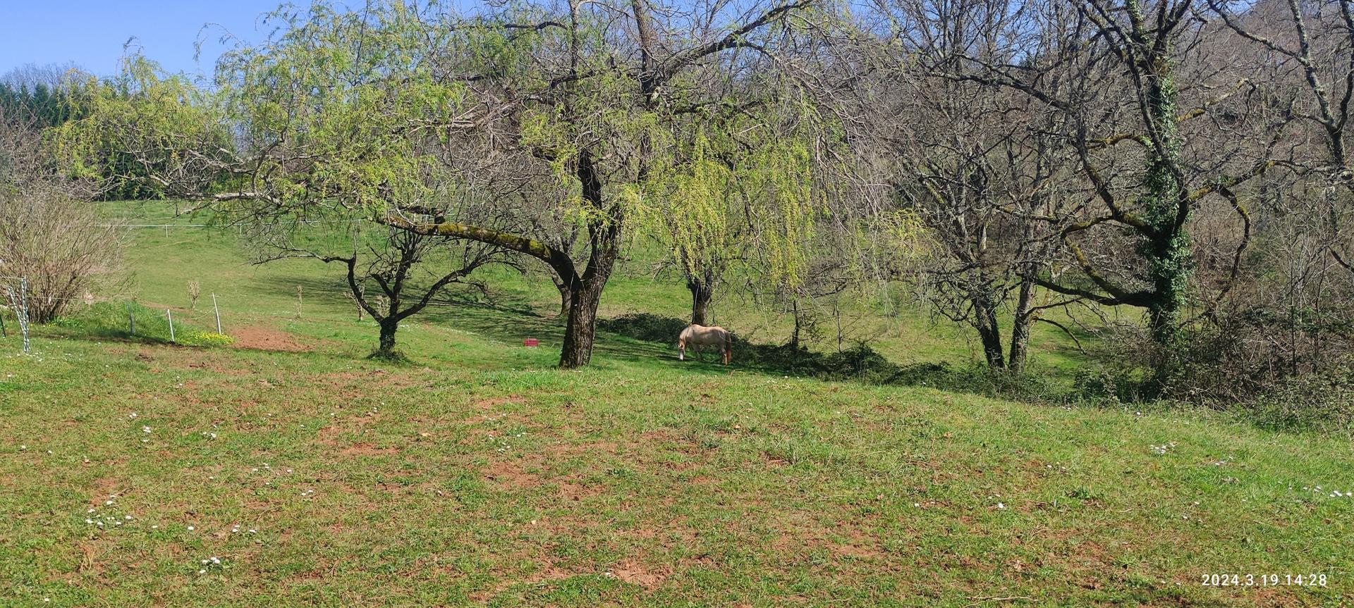 Photo 15 de l'annonce.