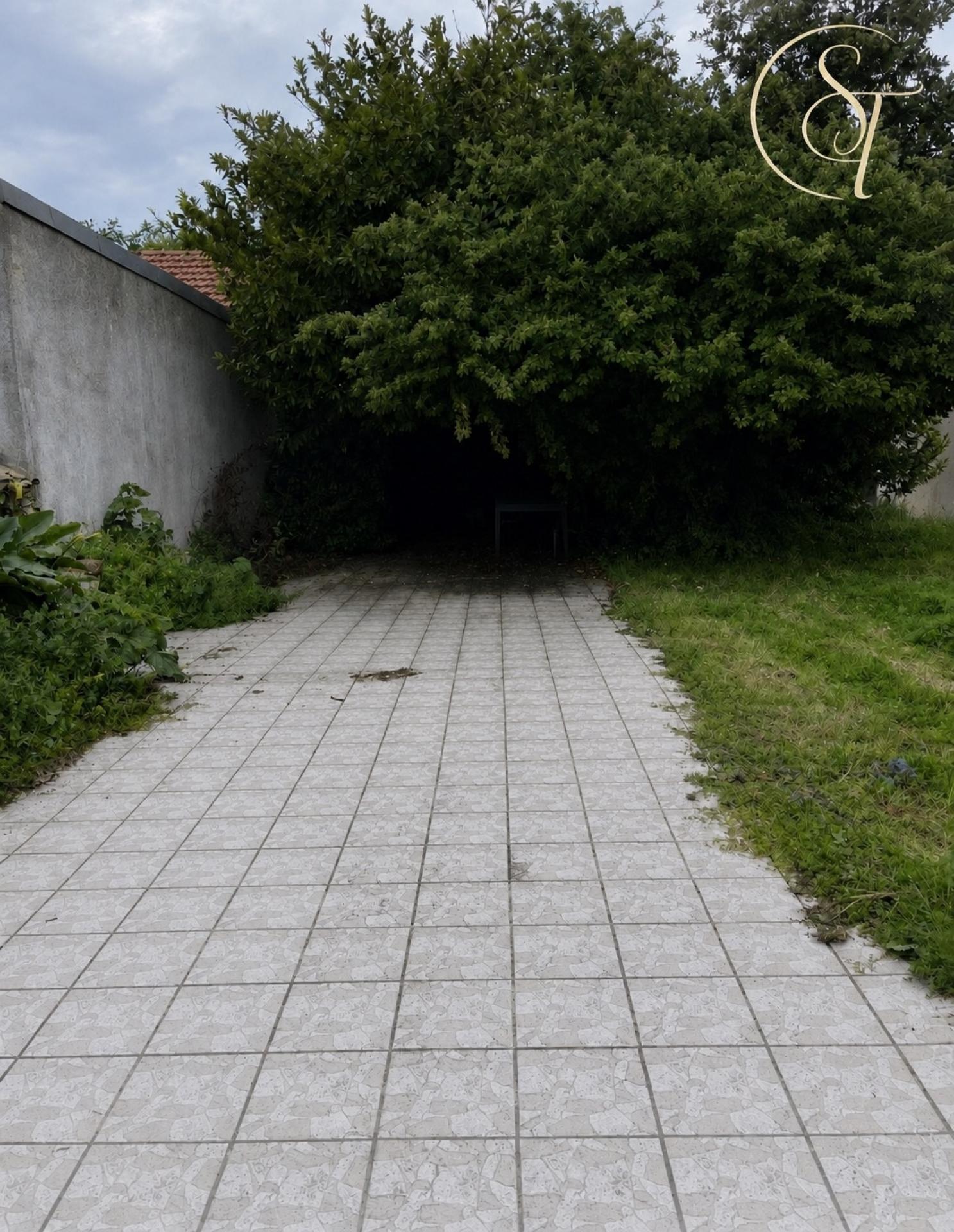 Photo-terrain